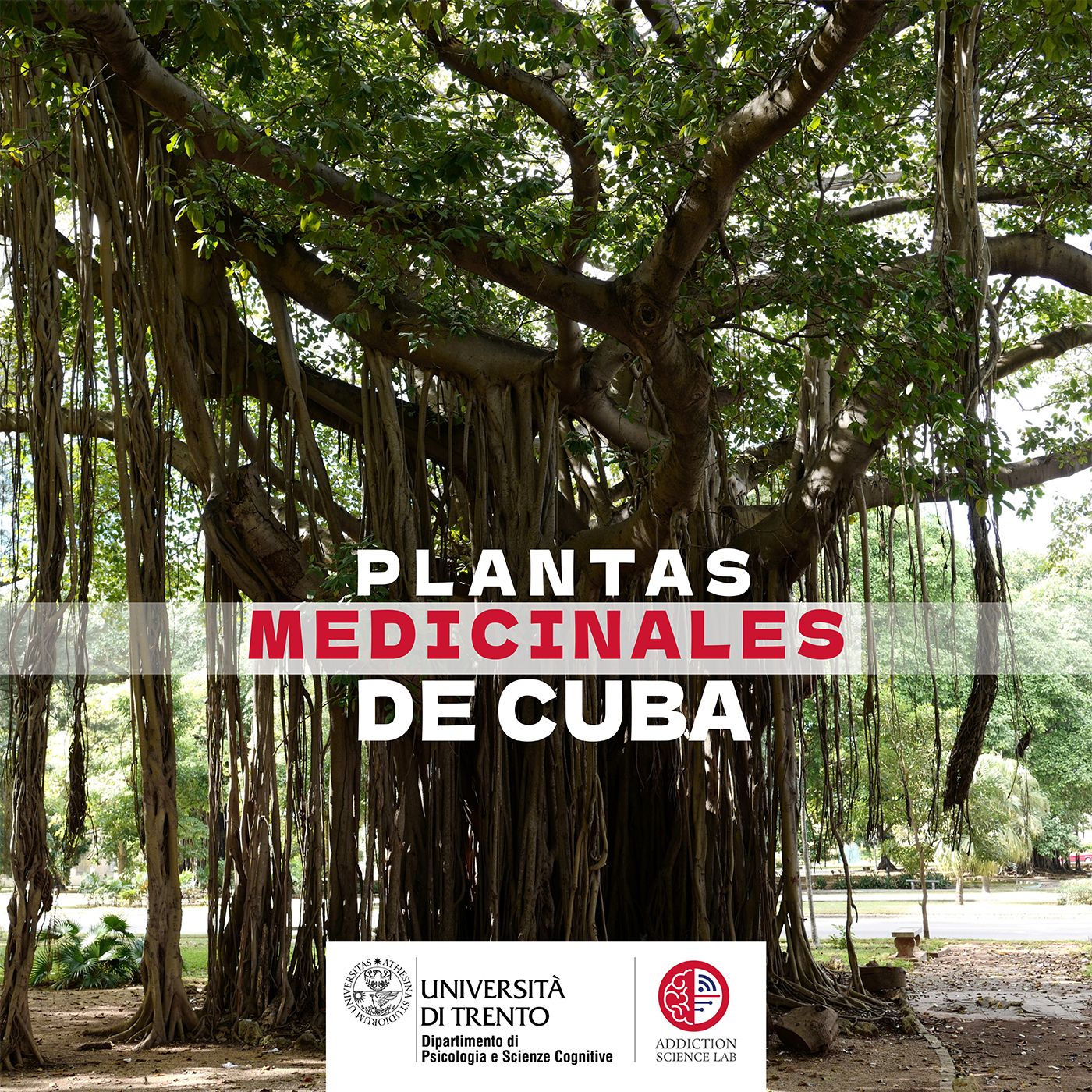 Plantas Medicinales De Cuba episode artwork