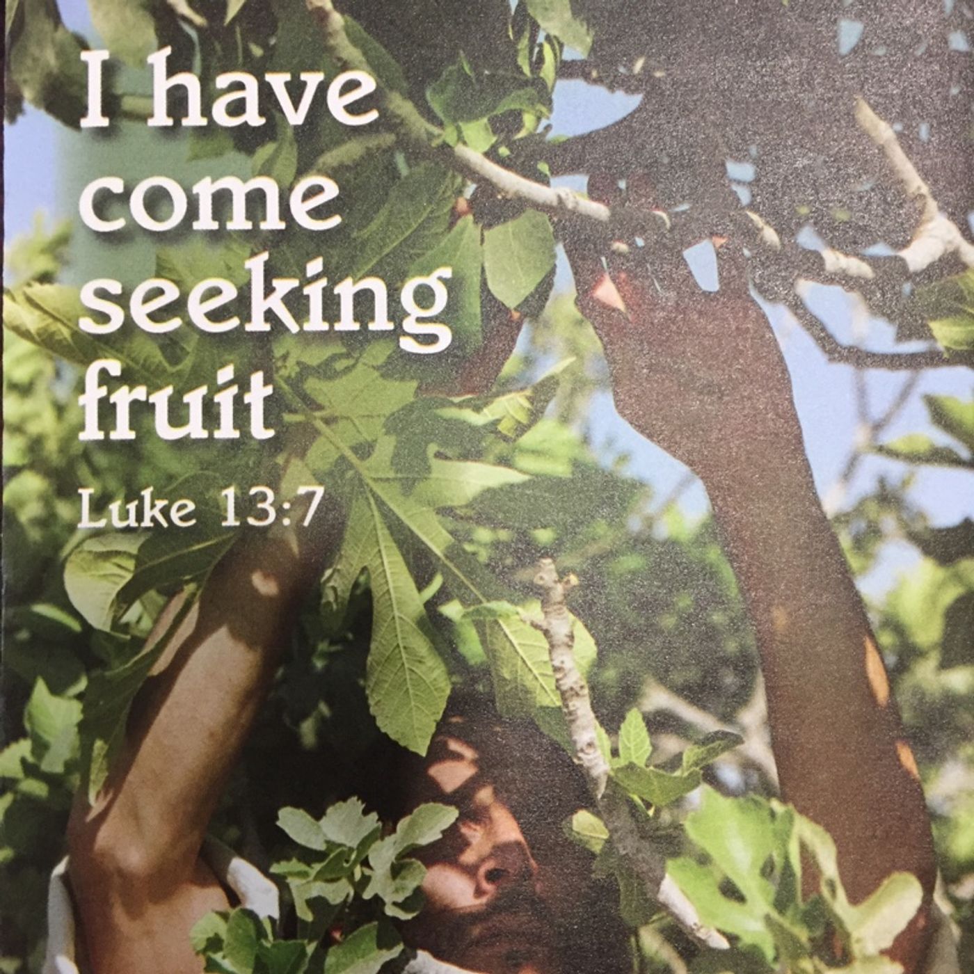The Third Sunday in Lent episode artwork