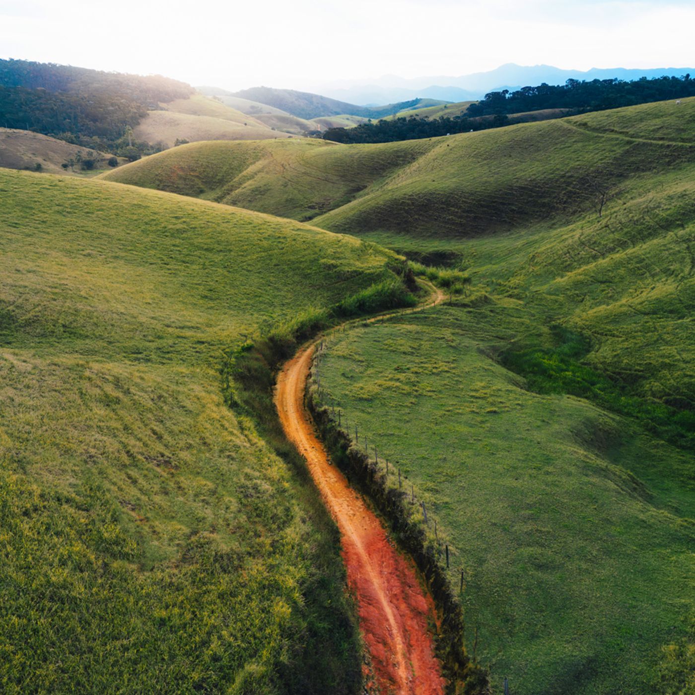 Capitol Ministries Weekly Bible Study