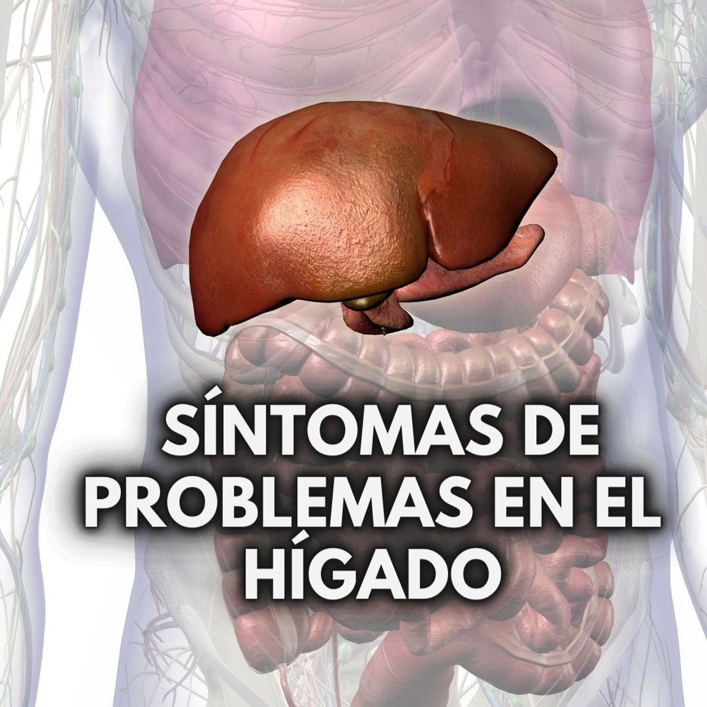 Transforma tu Salud con Gerardo Medina