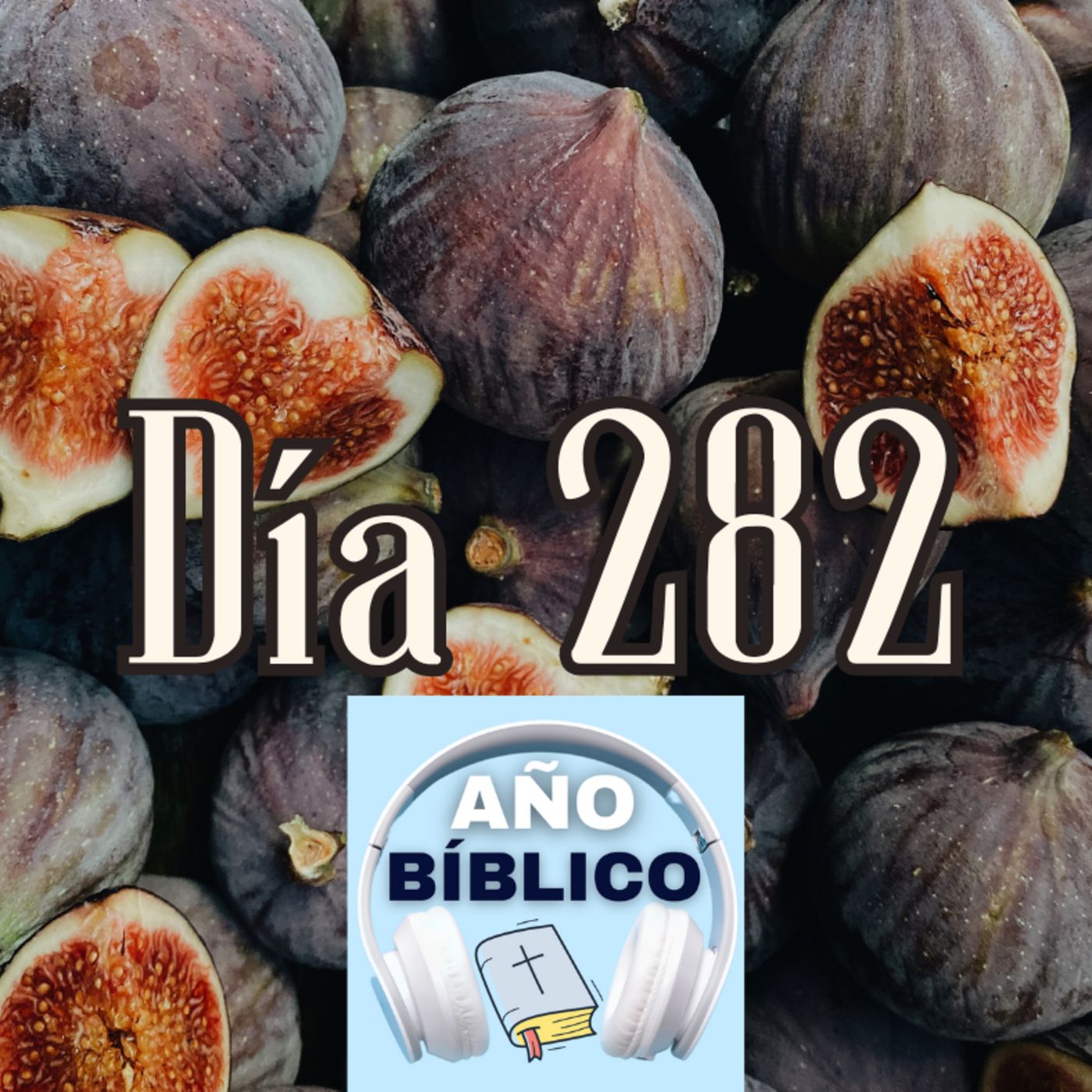Día 282 - Salmo 113:1-4, Jeremías 23:9-40; Jeremías 24 y Filipenses 1:1-19 episode artwork