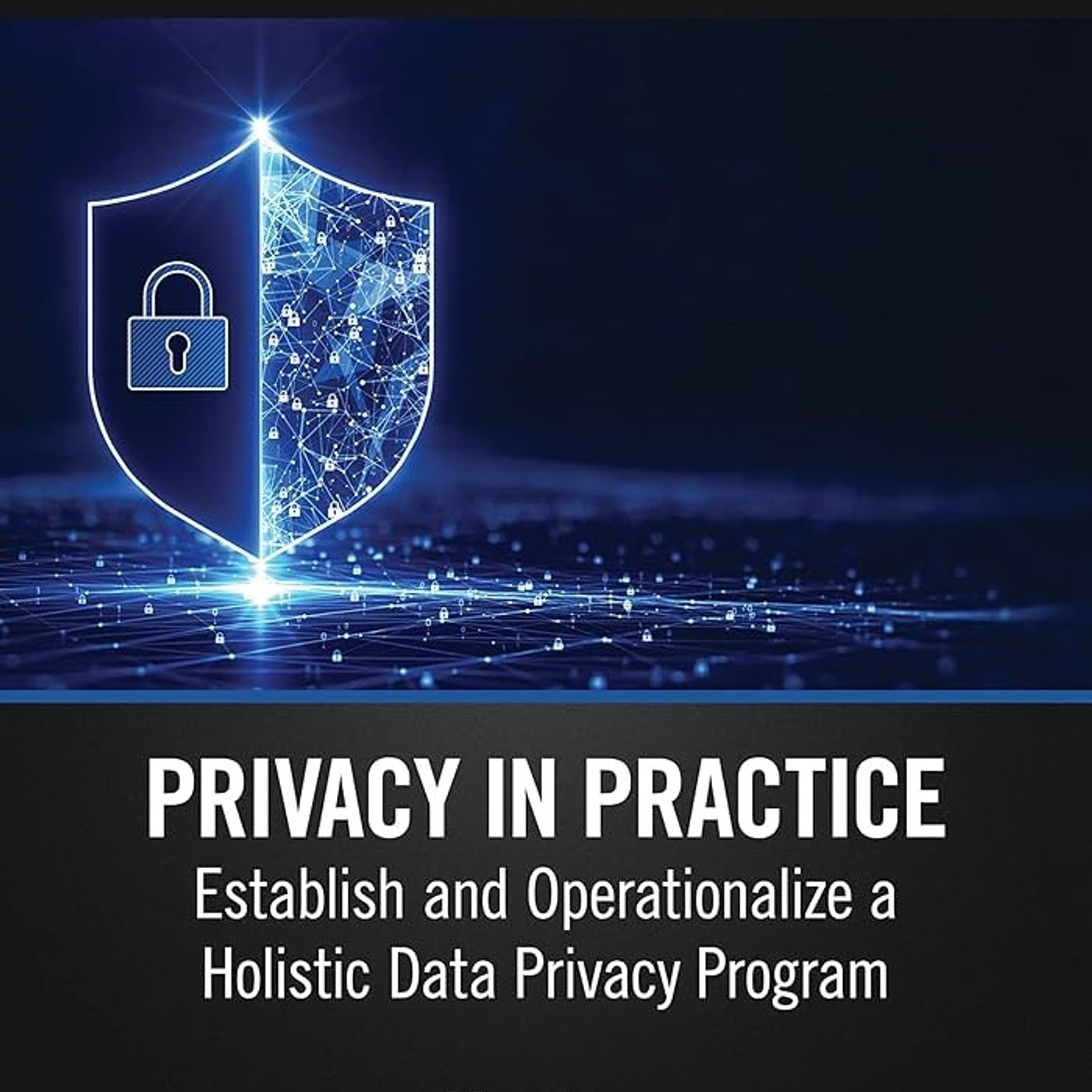 Privacy in Practice (Security, Audit and Leadership Series)