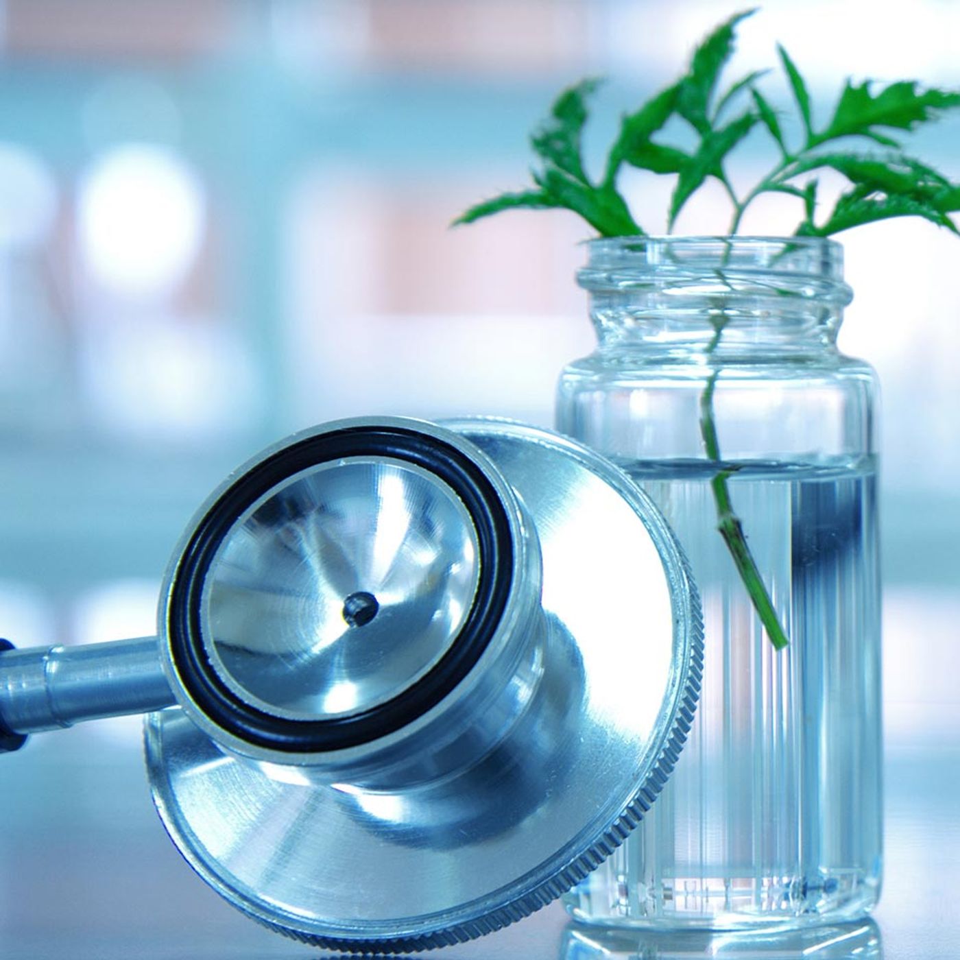 Naturaleza y Medicina: El encuentro