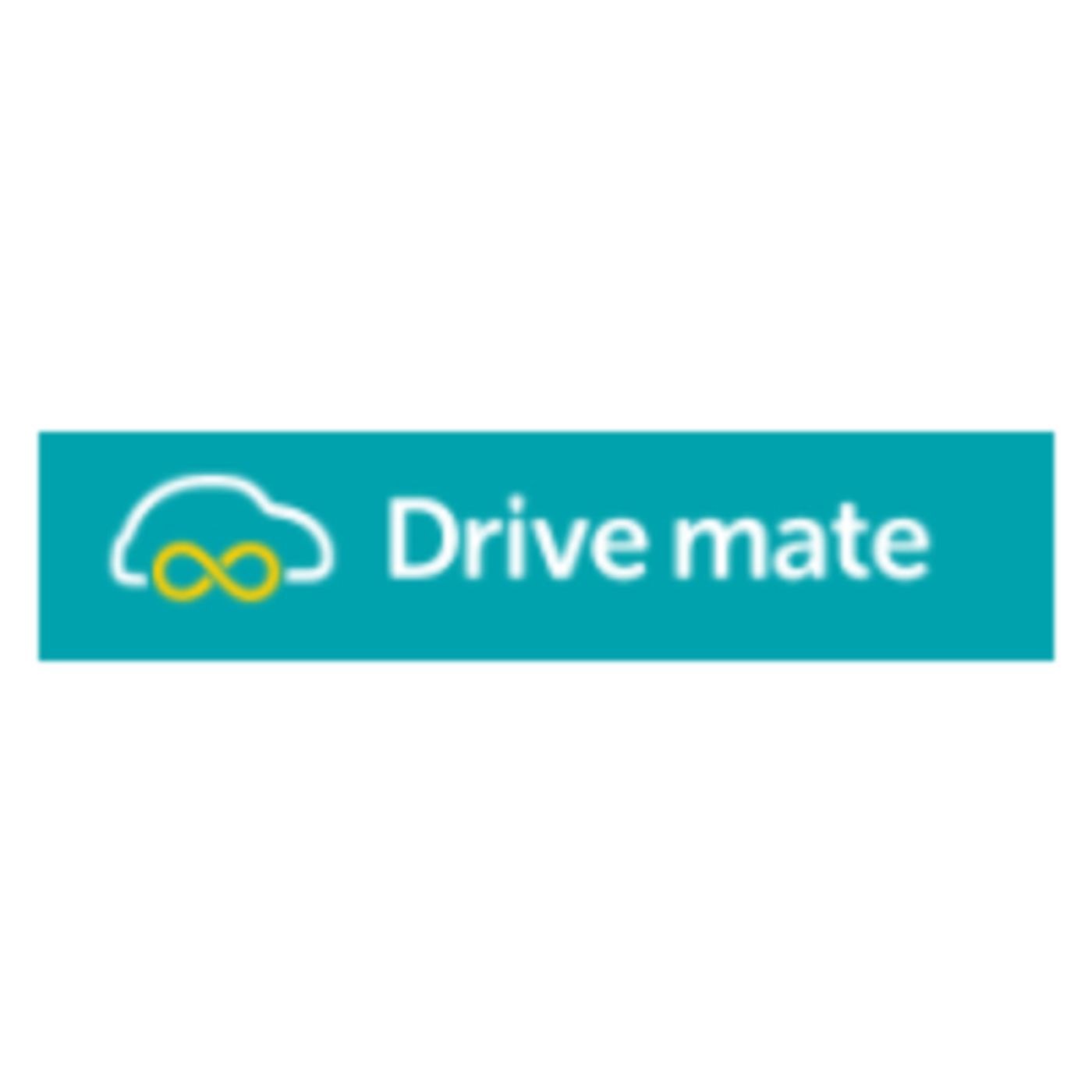 Drive Mate
