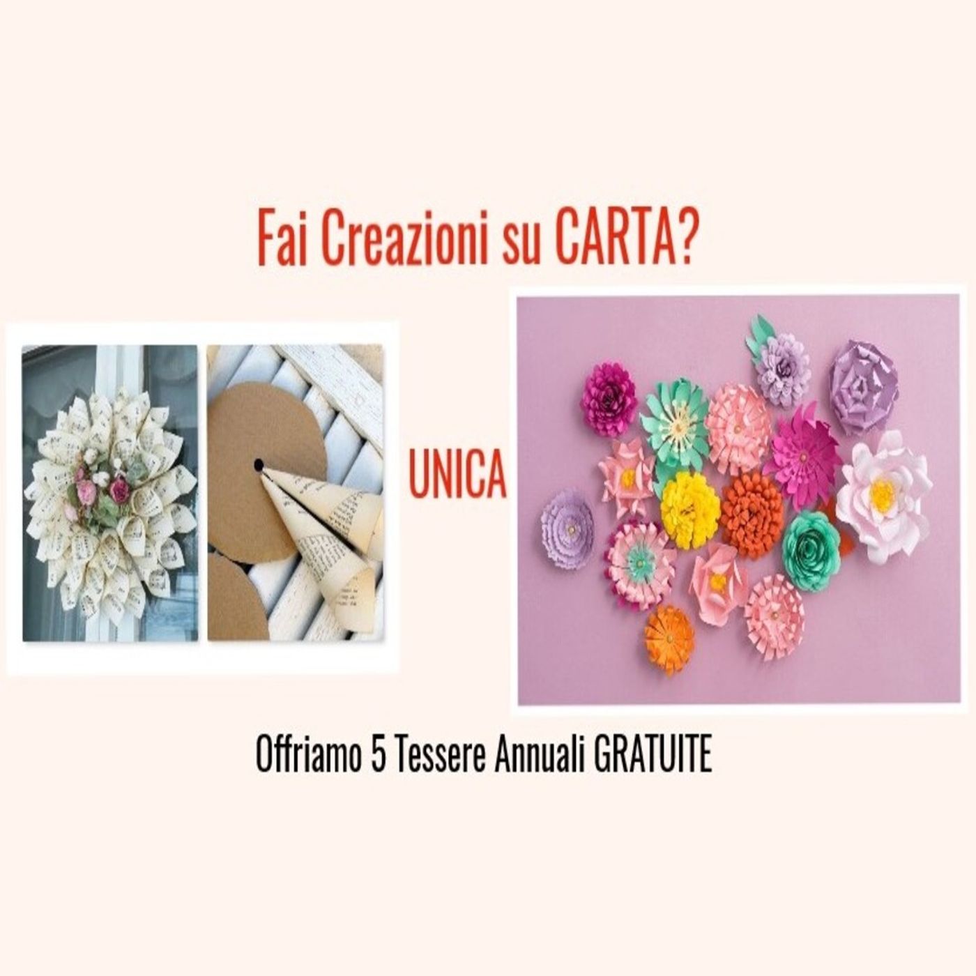 Gruppo TELEGRAM: Progetto tuunica