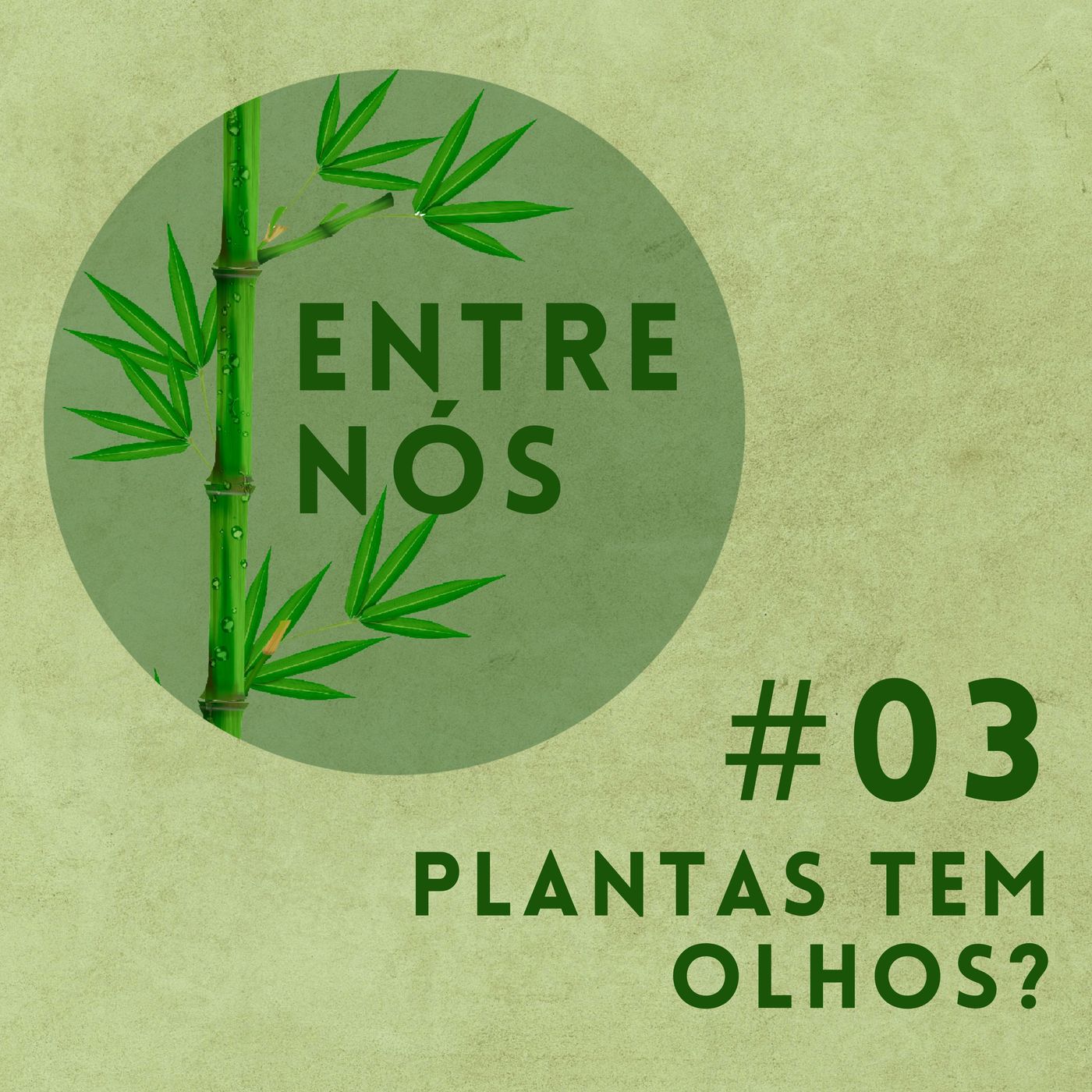 Muda Floresta