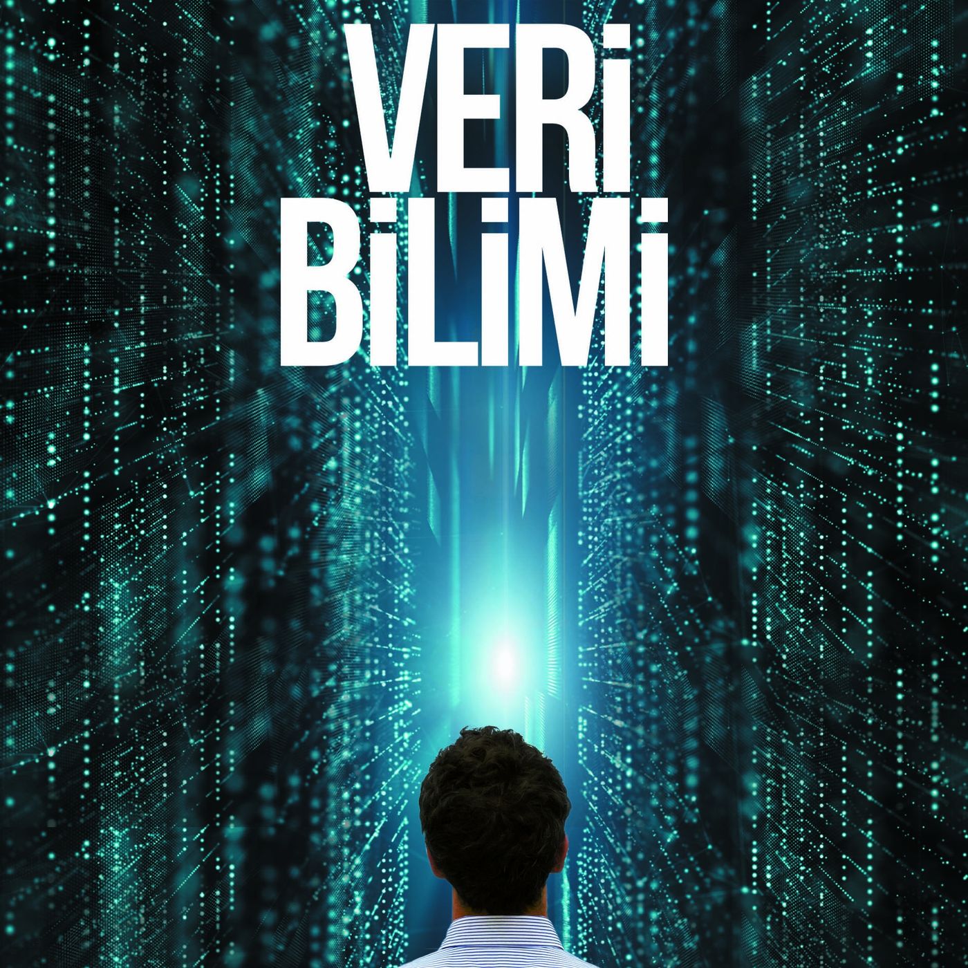 Veri Bilimi episode artwork