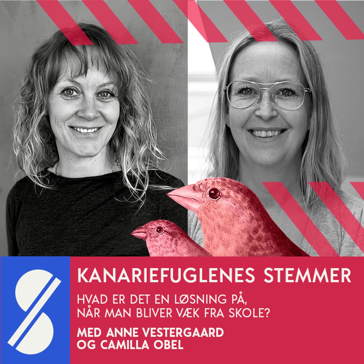Kanariefuglenes stemmer