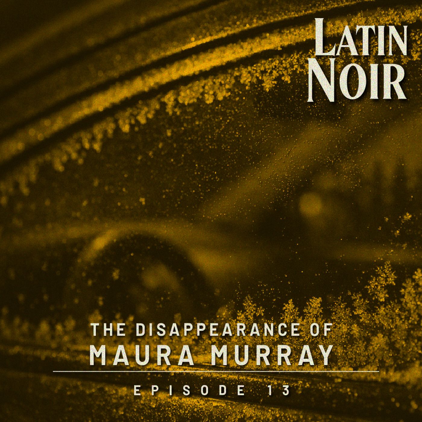 #EP 13 - The Disappearance of Maura Murray episode artwork
