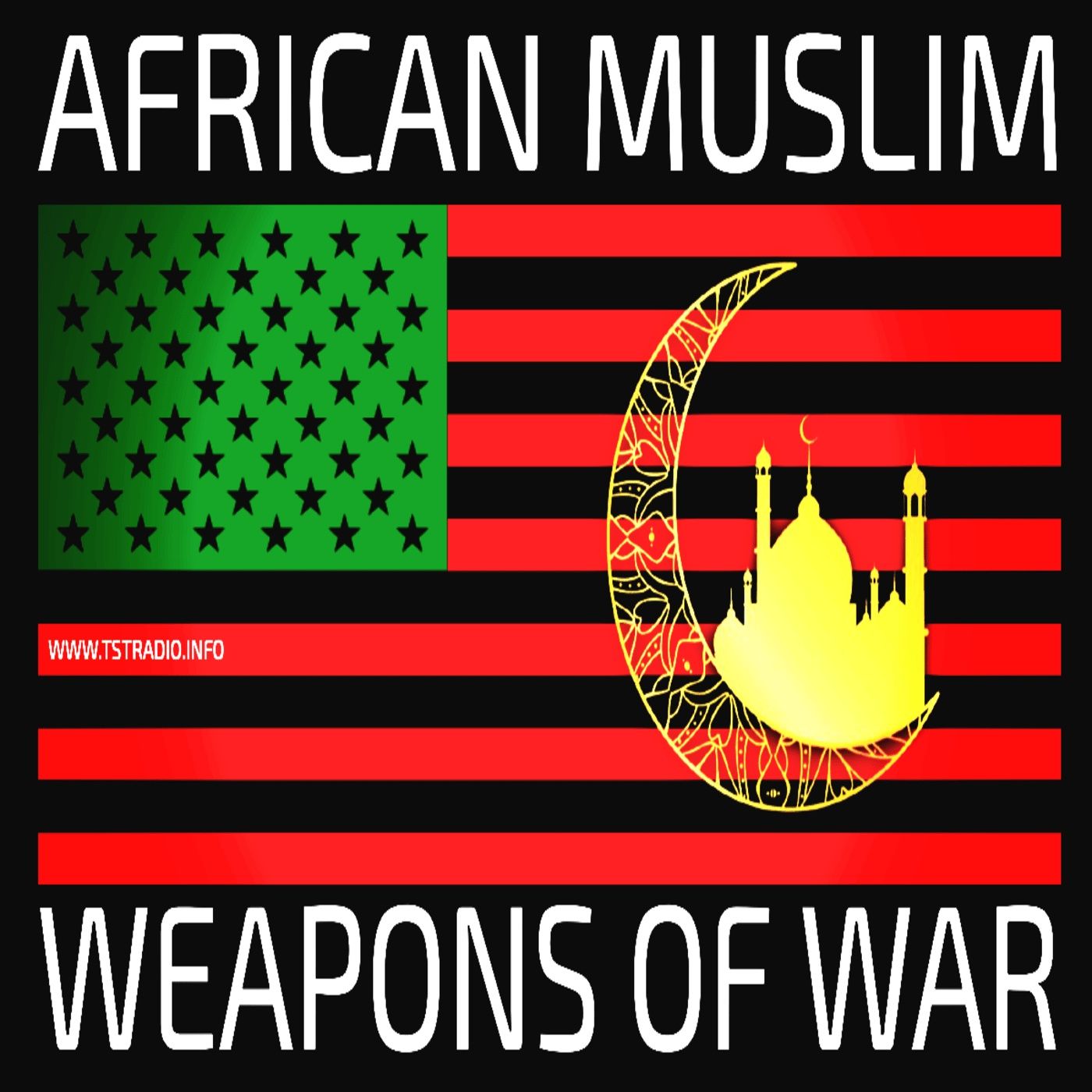 African Muslim Weapons of War (9/8/25)