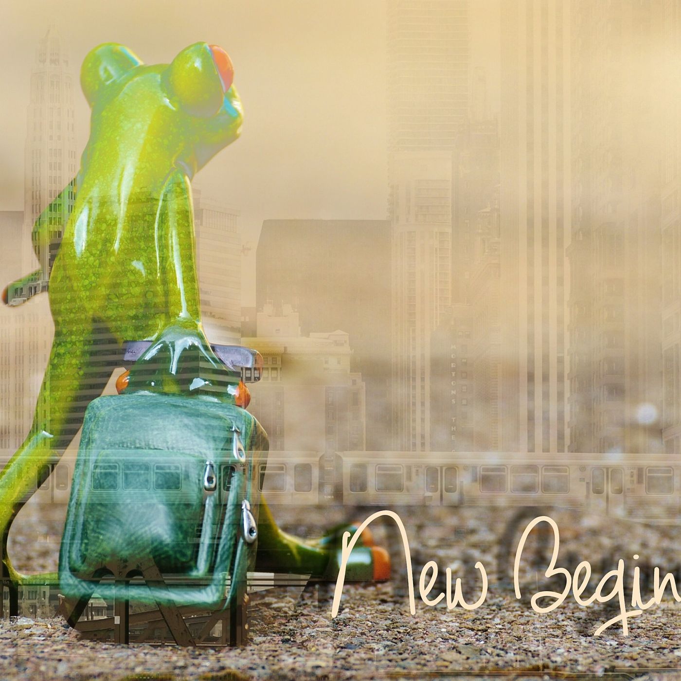 Episode 74 The Fear of Starting Over Keeps You in a Bad Place