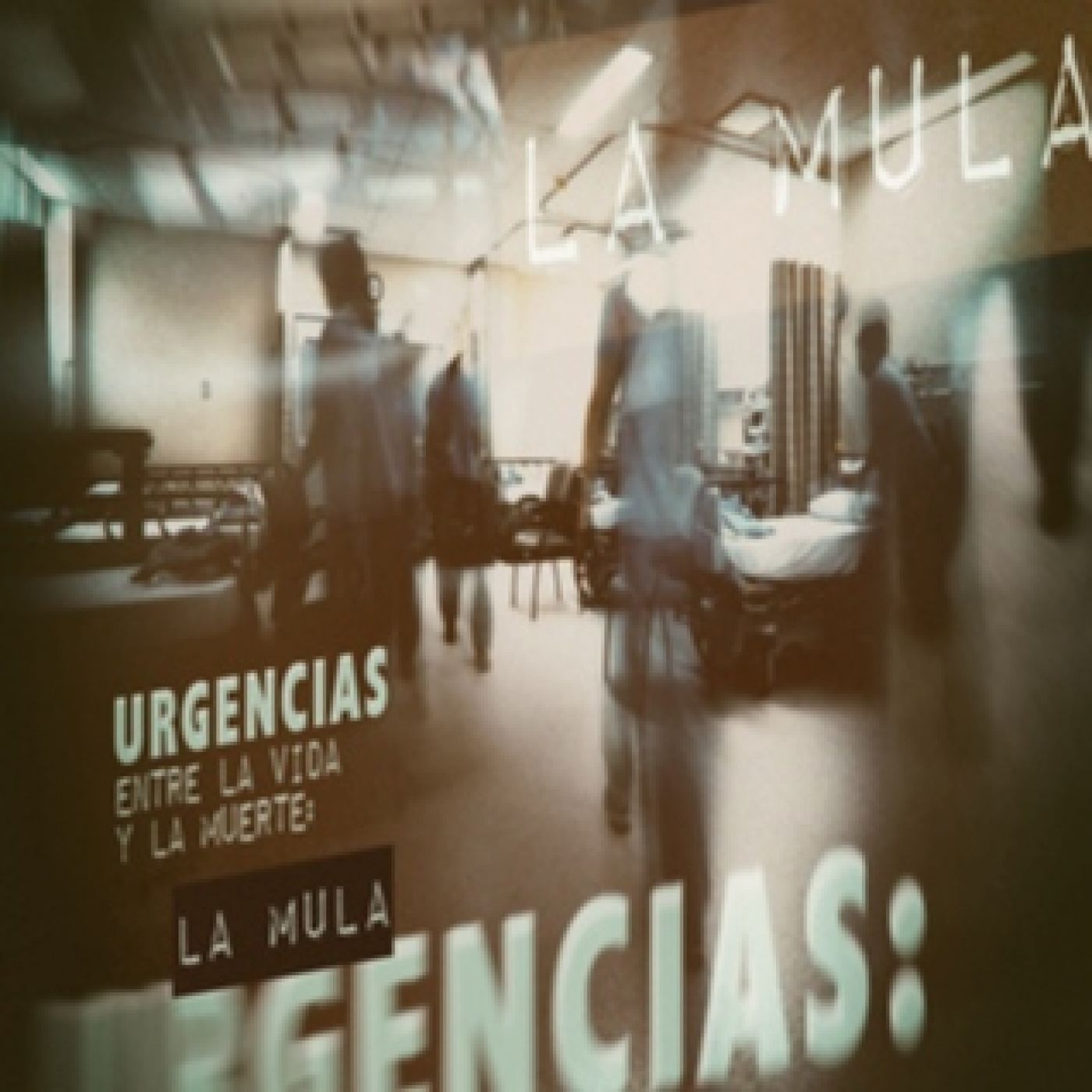 Cuarto Milenio 17×24 (13/02/2022): Urgencias. Entre la vida y la muerte: La mula