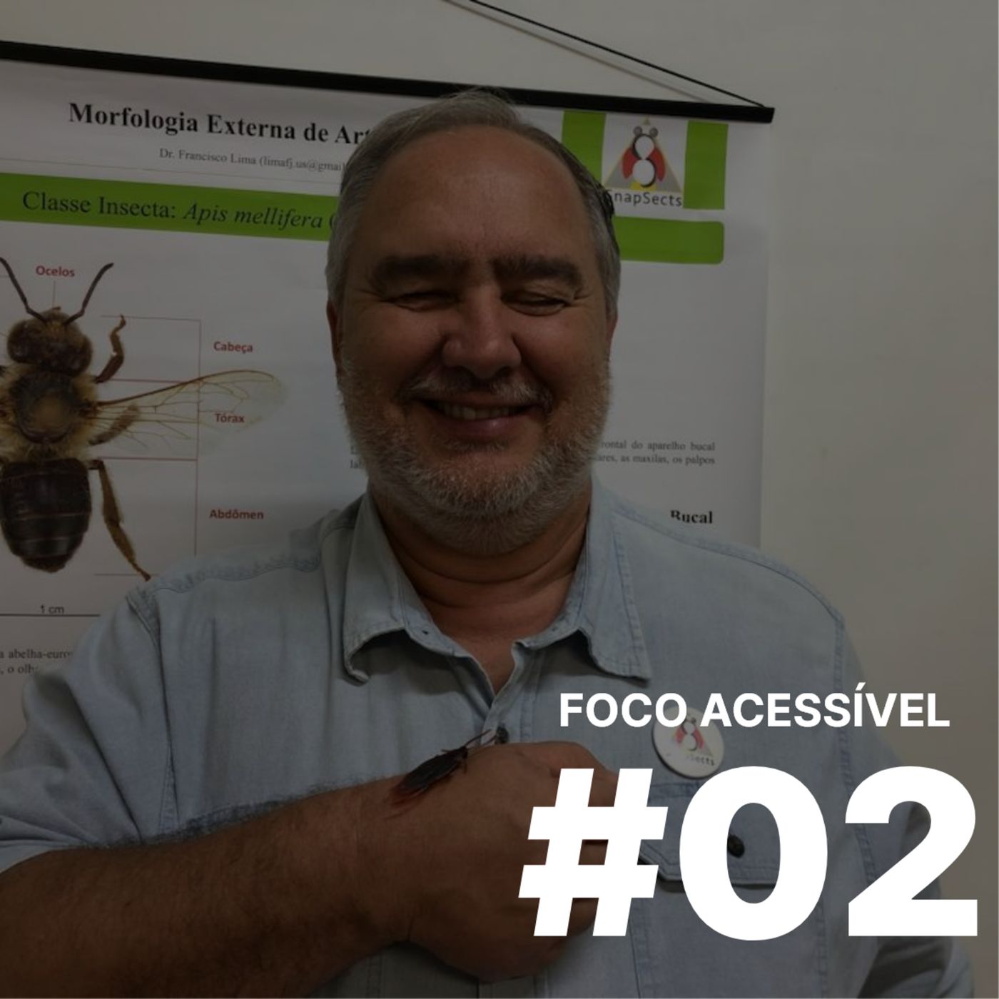 Foco Accessível