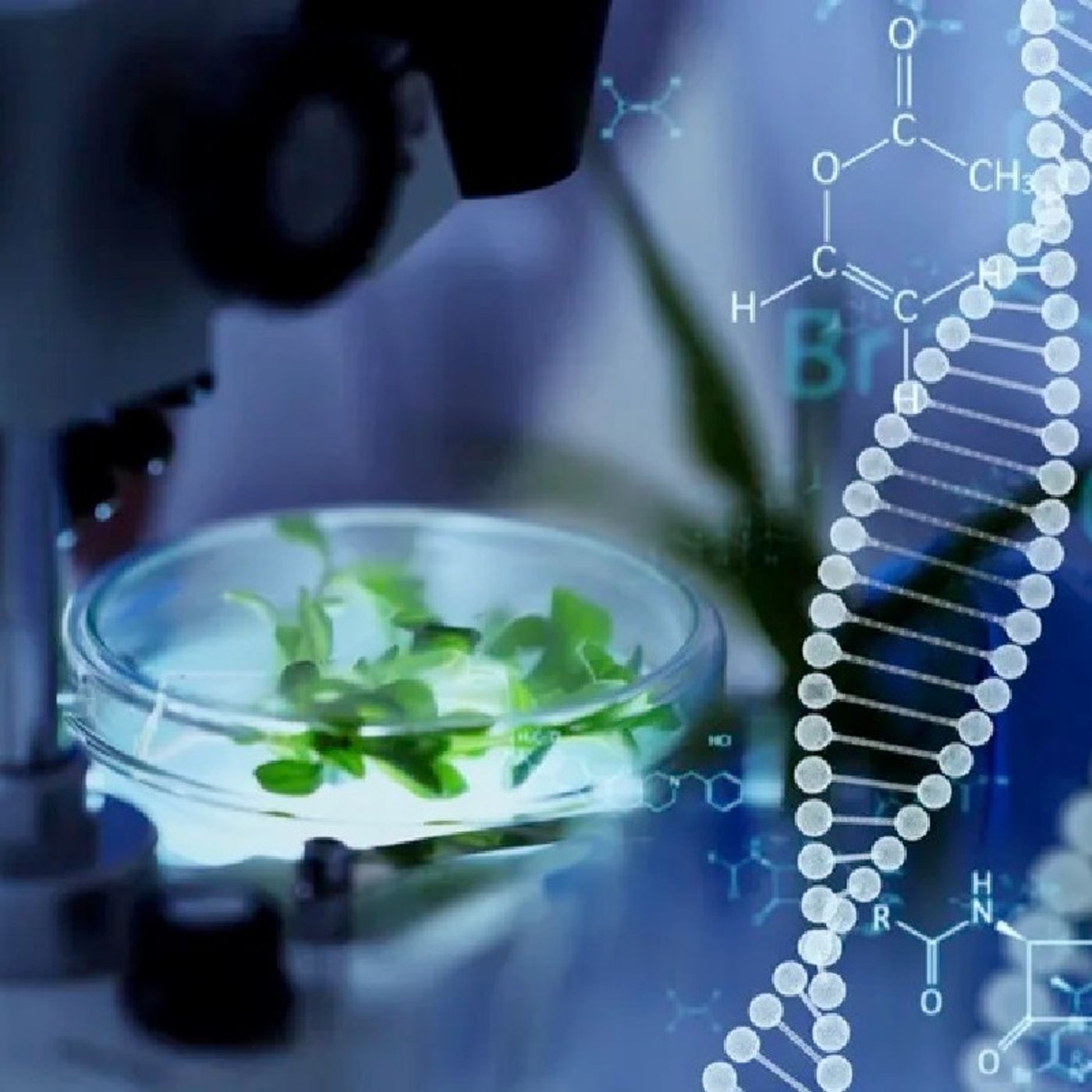 BIOINGENIERÍA DE MICROORGANISMO episode artwork