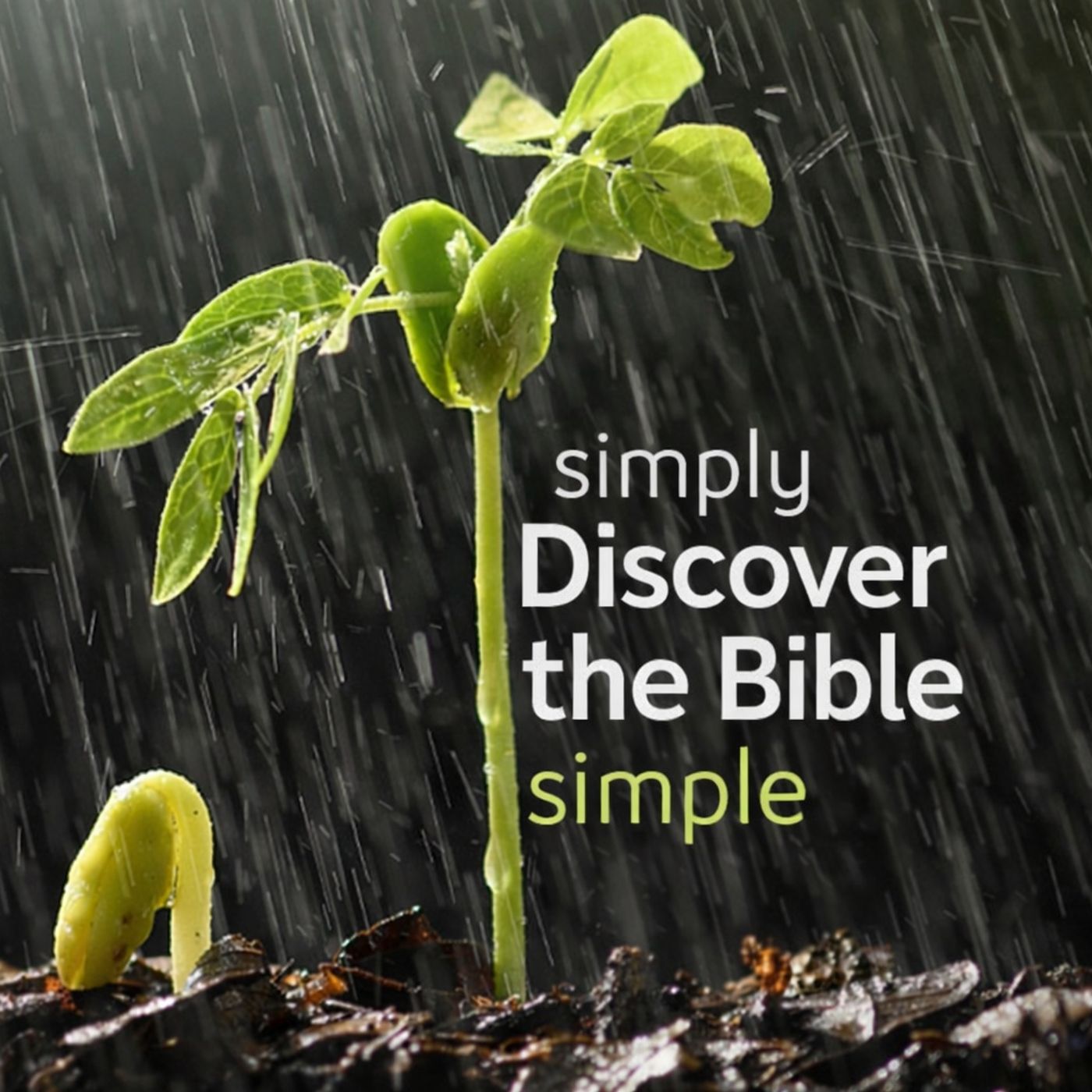 Simply Discover the Bible, simple...