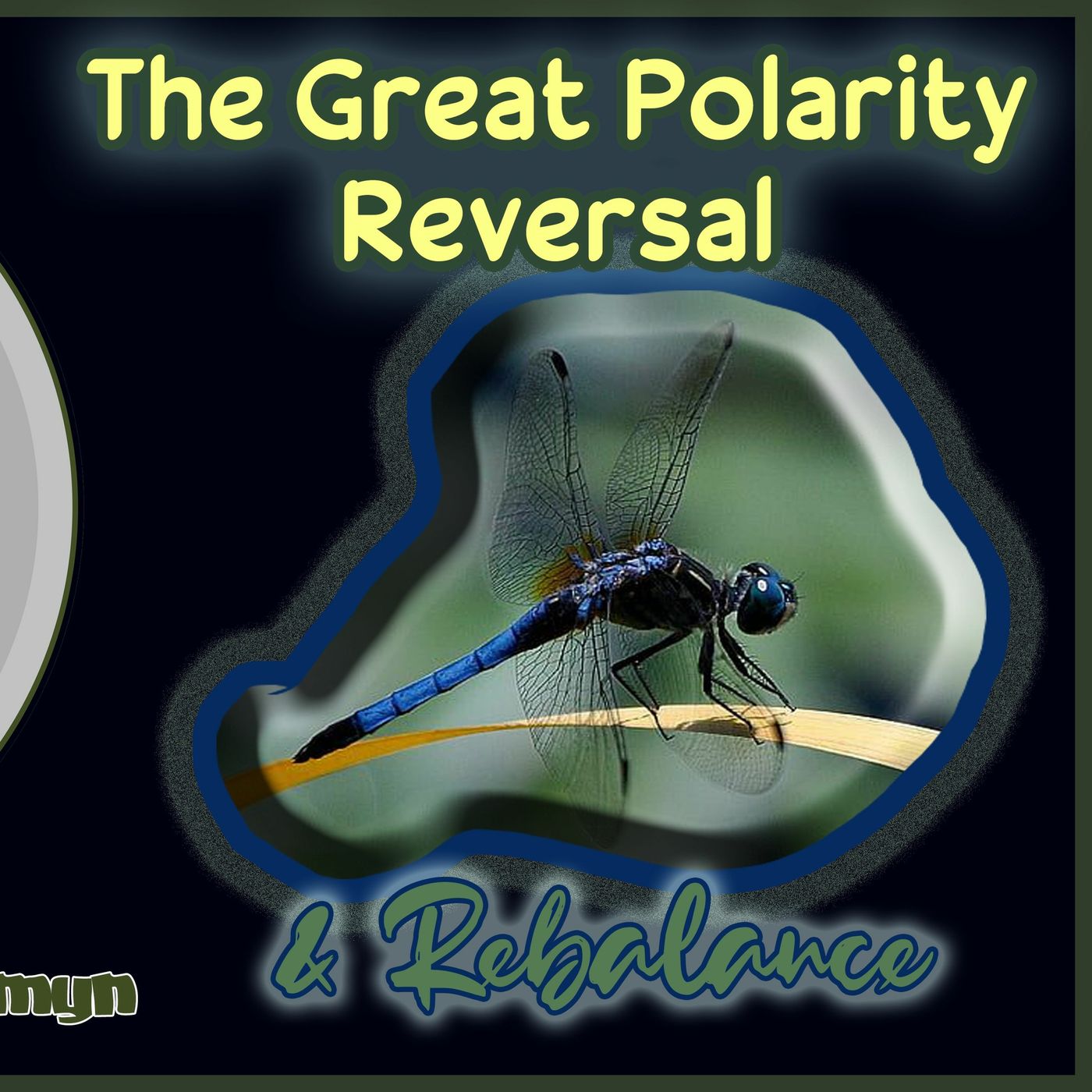 The Great Polarity Reversal & Rebalance