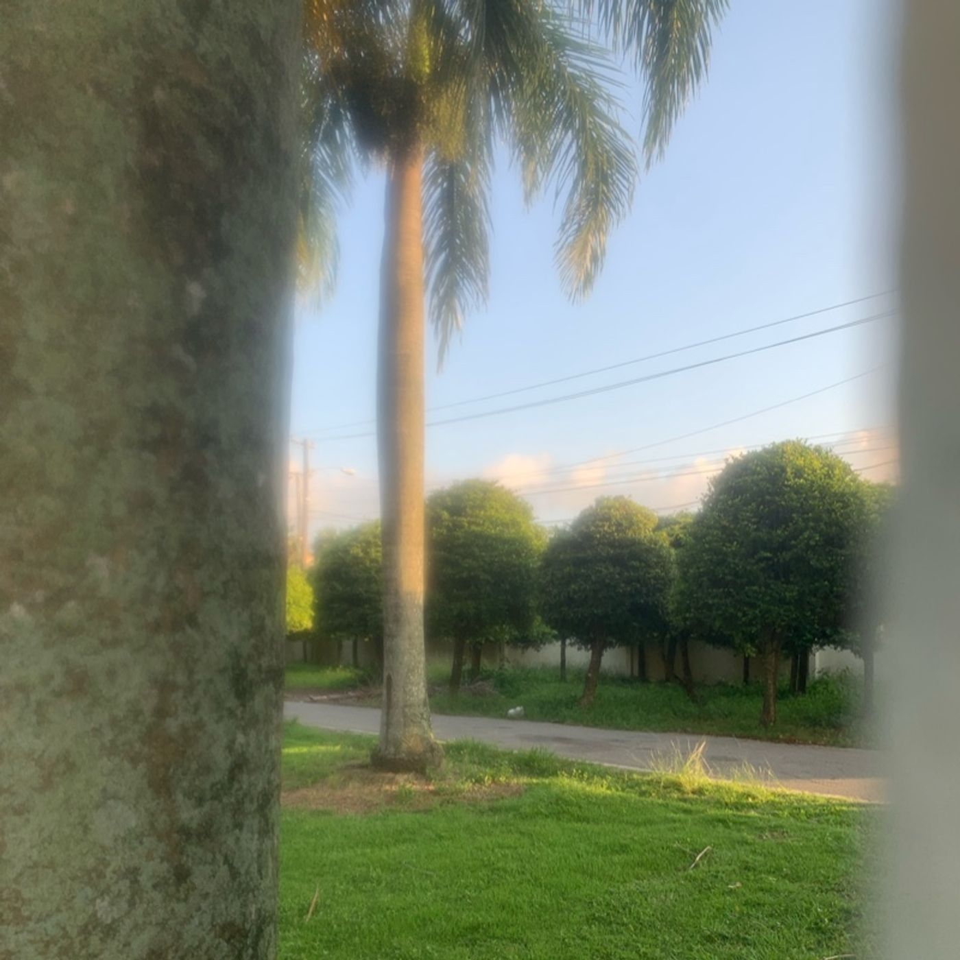 El podcast de Luismiguel Rosa manzanillo