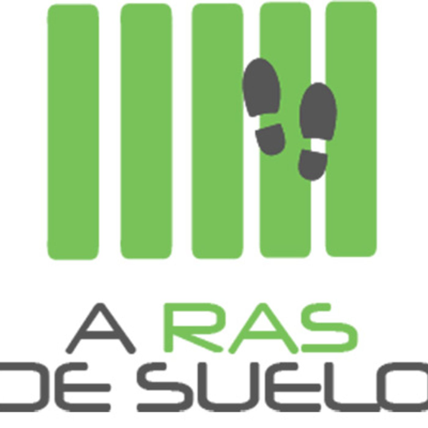A RAS DE SUELO