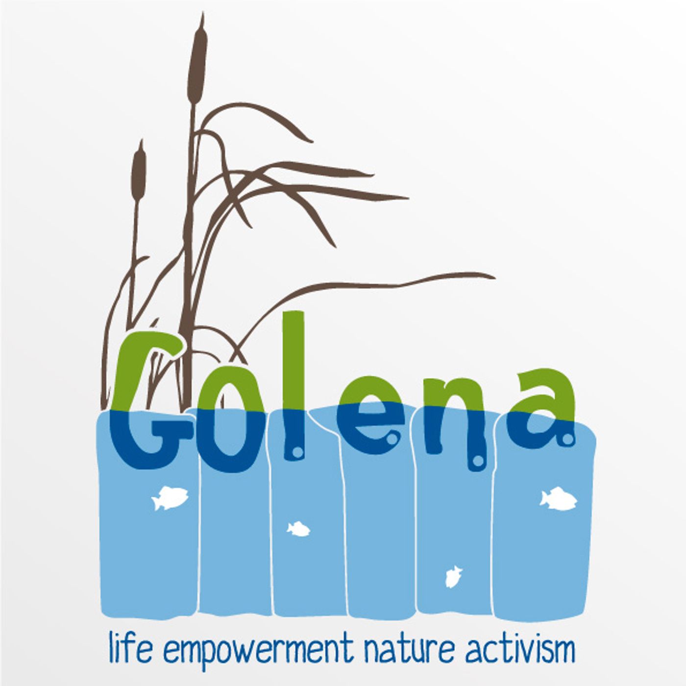 PROGETTO GOLENA