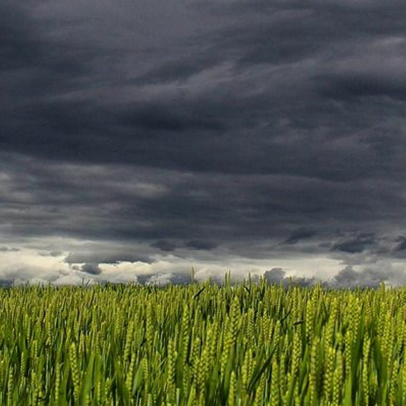 Percentage of Precipitation: What It Means and How to Interpret it episode artwork
