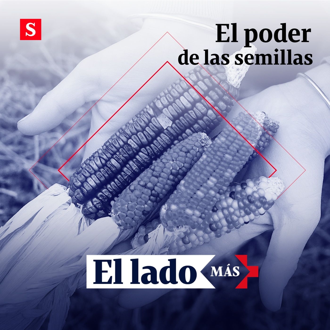 El lado +