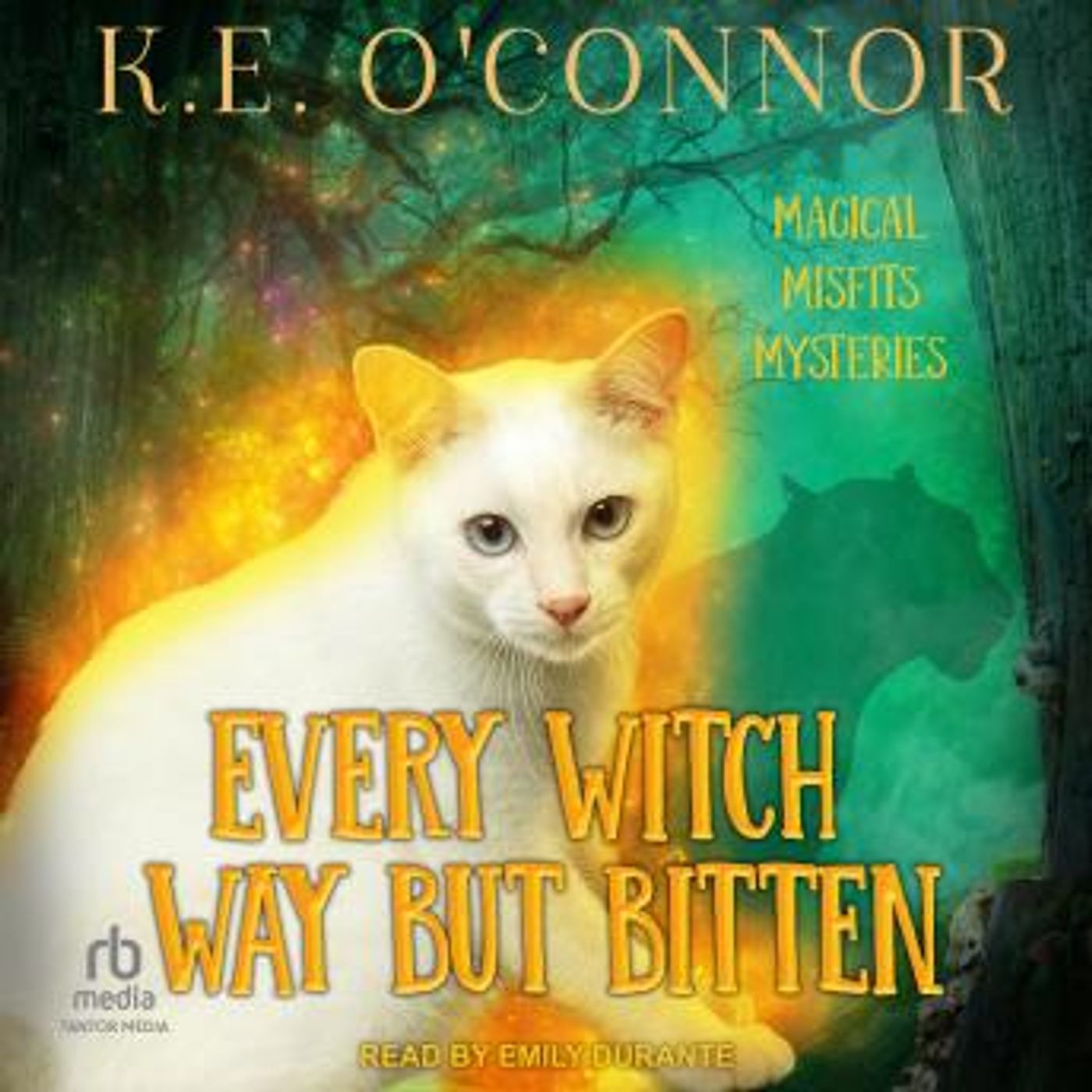 Get Top Full Audiobooks in Mystery, Thriller & Horror, Police & Detective
