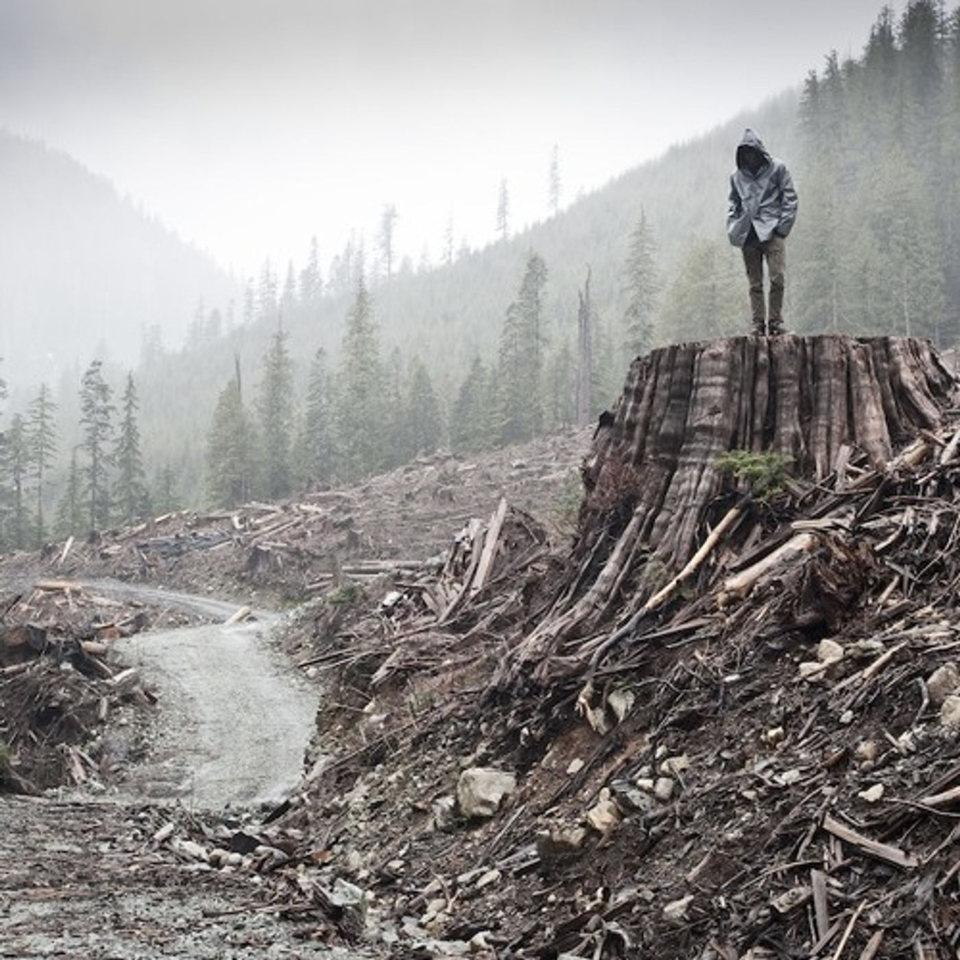 Earth Liberation Front Documentary Gets Oscar Nomination episode artwork