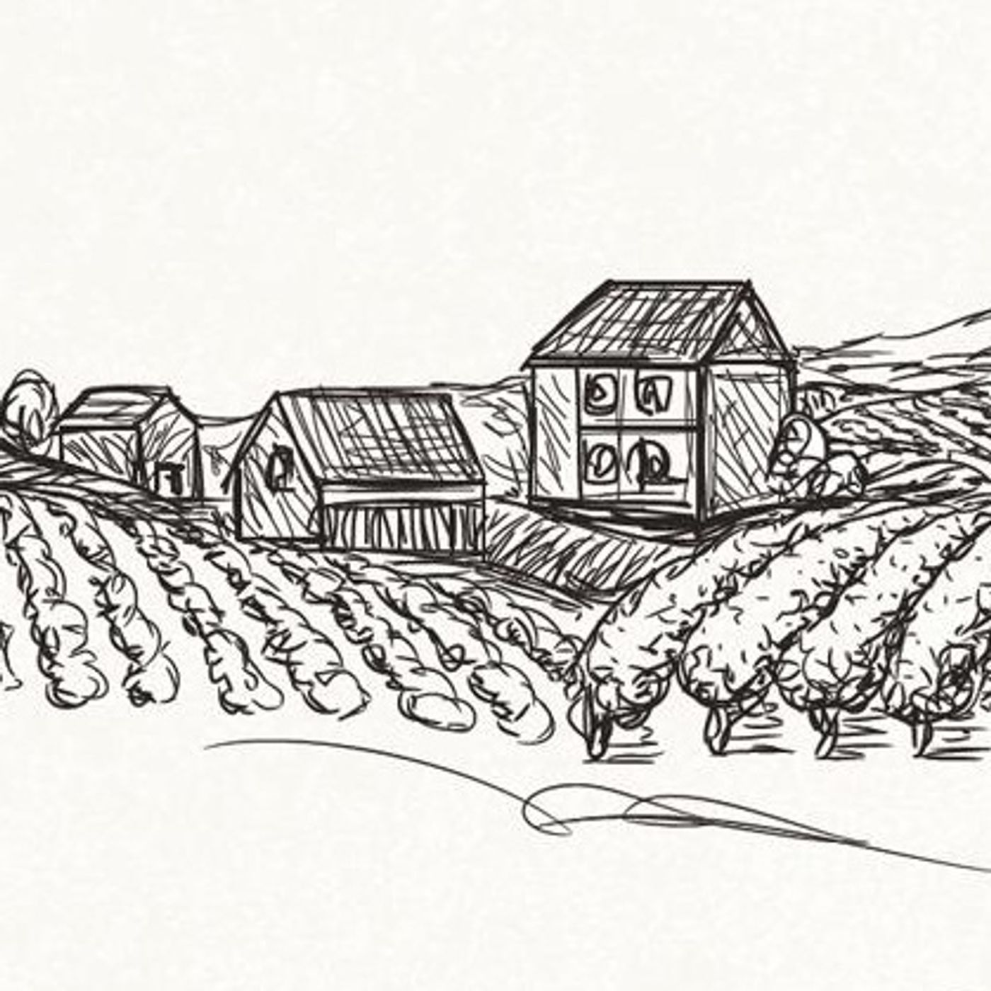 Giovanna Ceriotti "Quando ancora non ero" Giovanna Ceriotti "Quando ancora non ero"