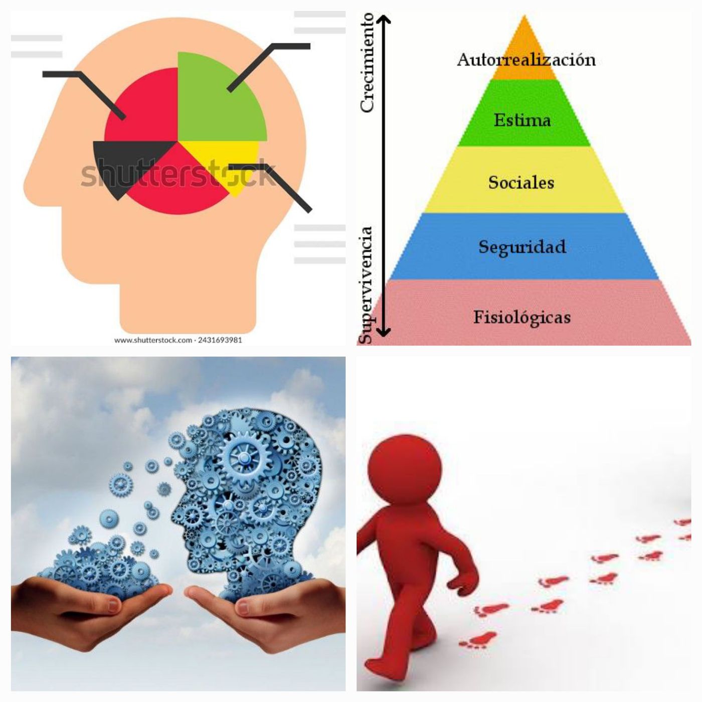 Teorías de liderazgo organizacional