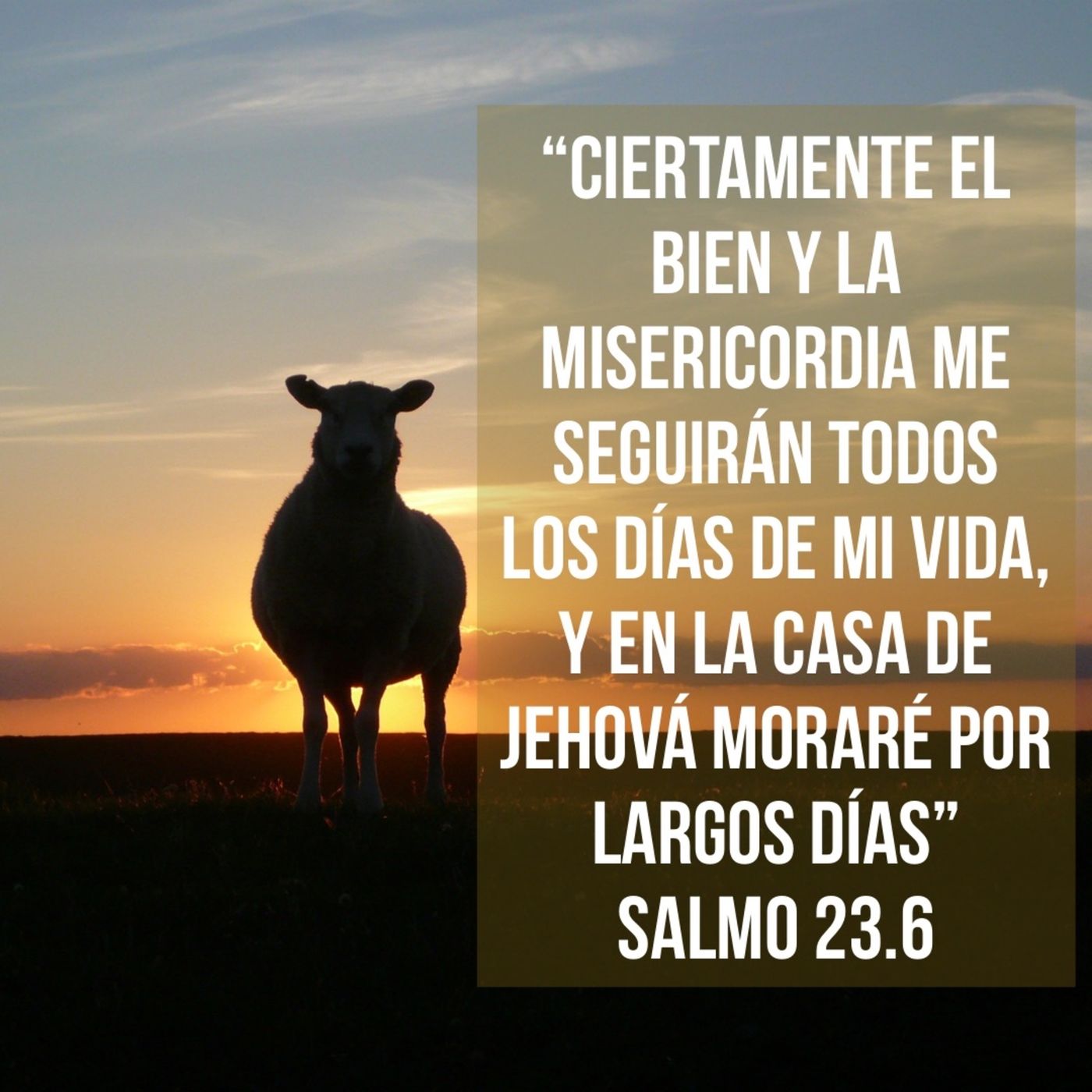 Ministerio UMCD - Un Momento Con Dios | Reflexiones Cristianas