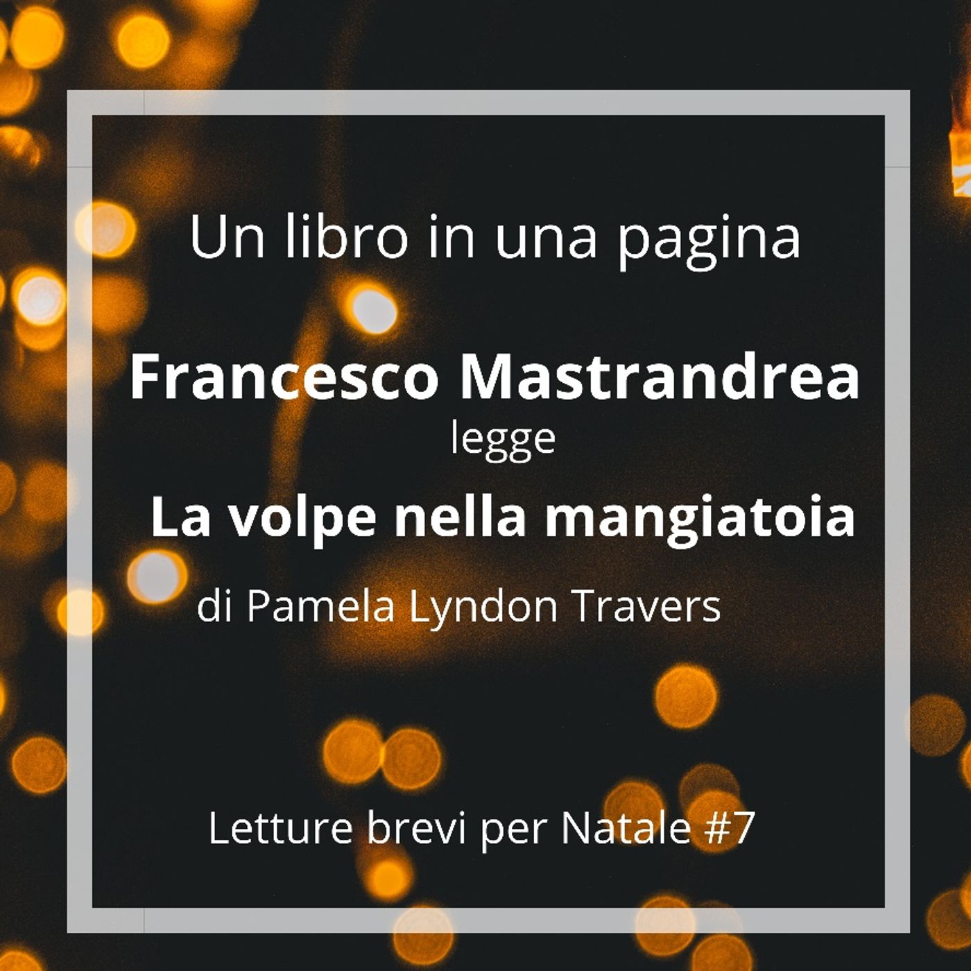Un libro in una pagina.