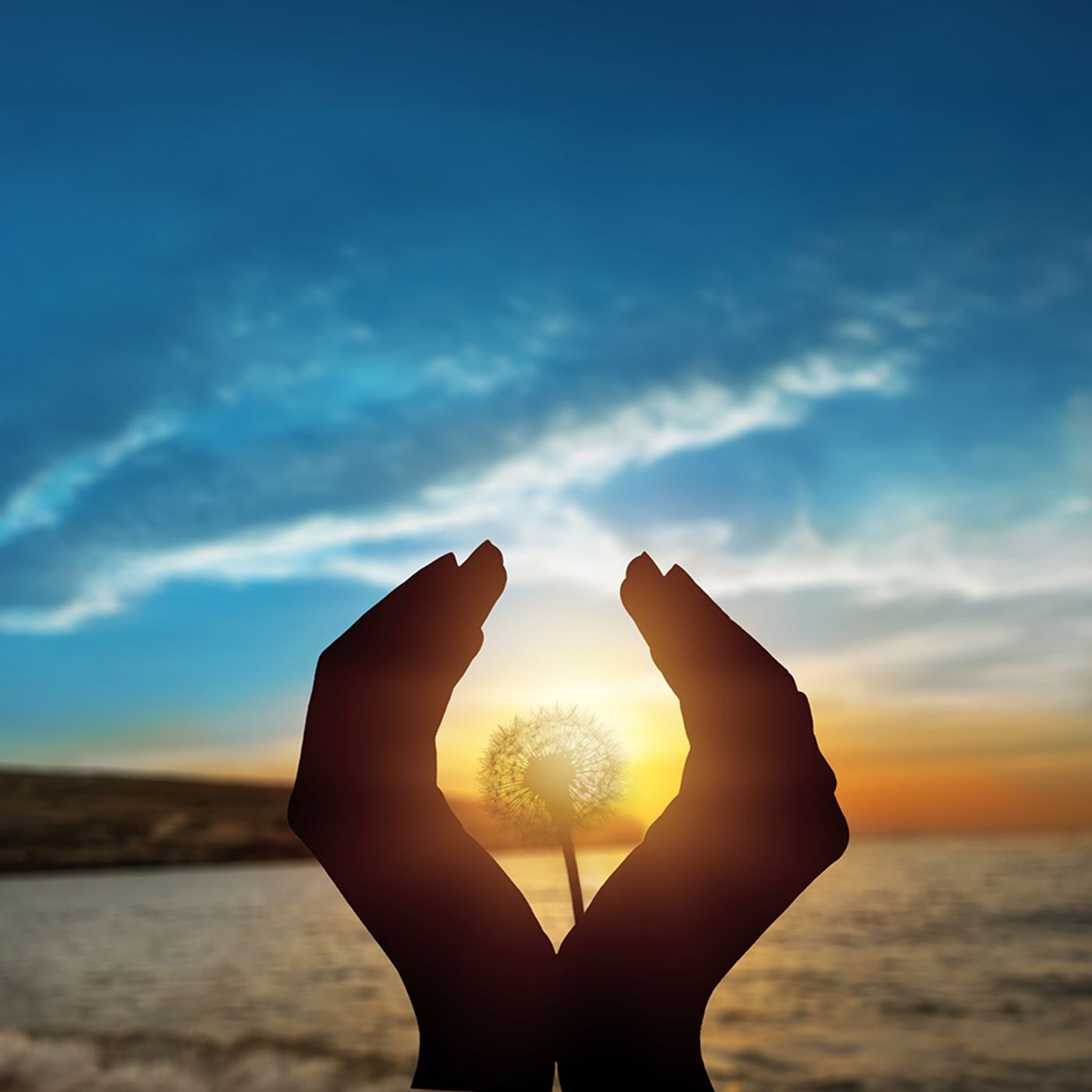 Dünya Telaşına Direnen Sevda Dünya Telaşına Direnen Sevda