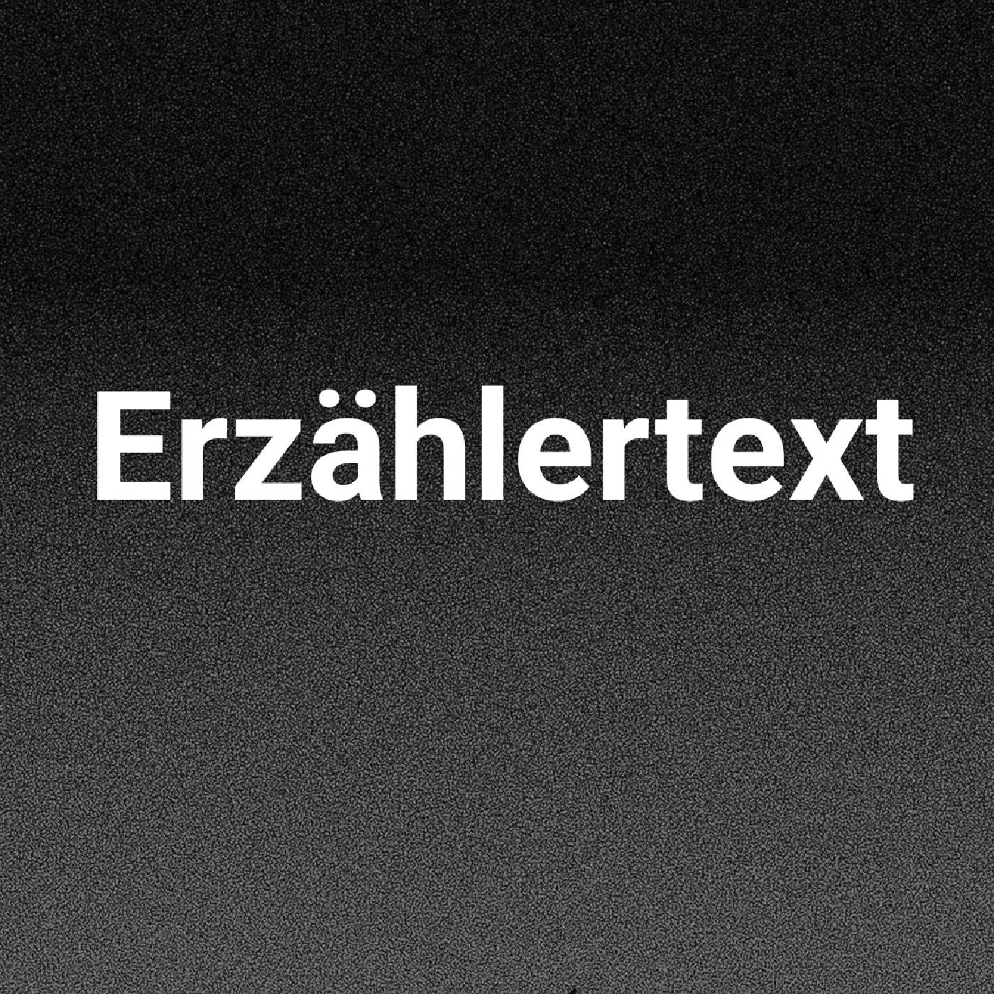 Erzählertext