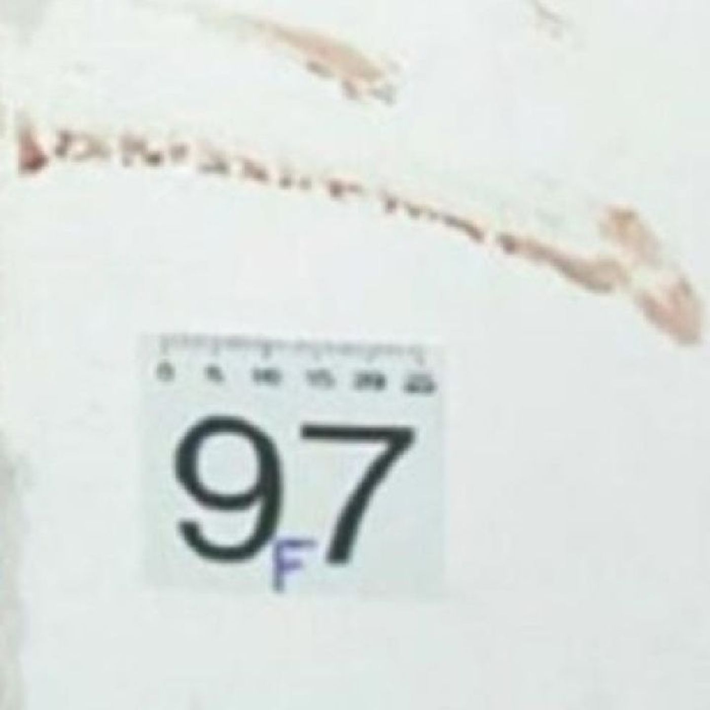 GARLASCO: IMPRONTA 97F. LA SOLUZIONE? Episodio 150 - SPEZIE&CRIME episode artwork