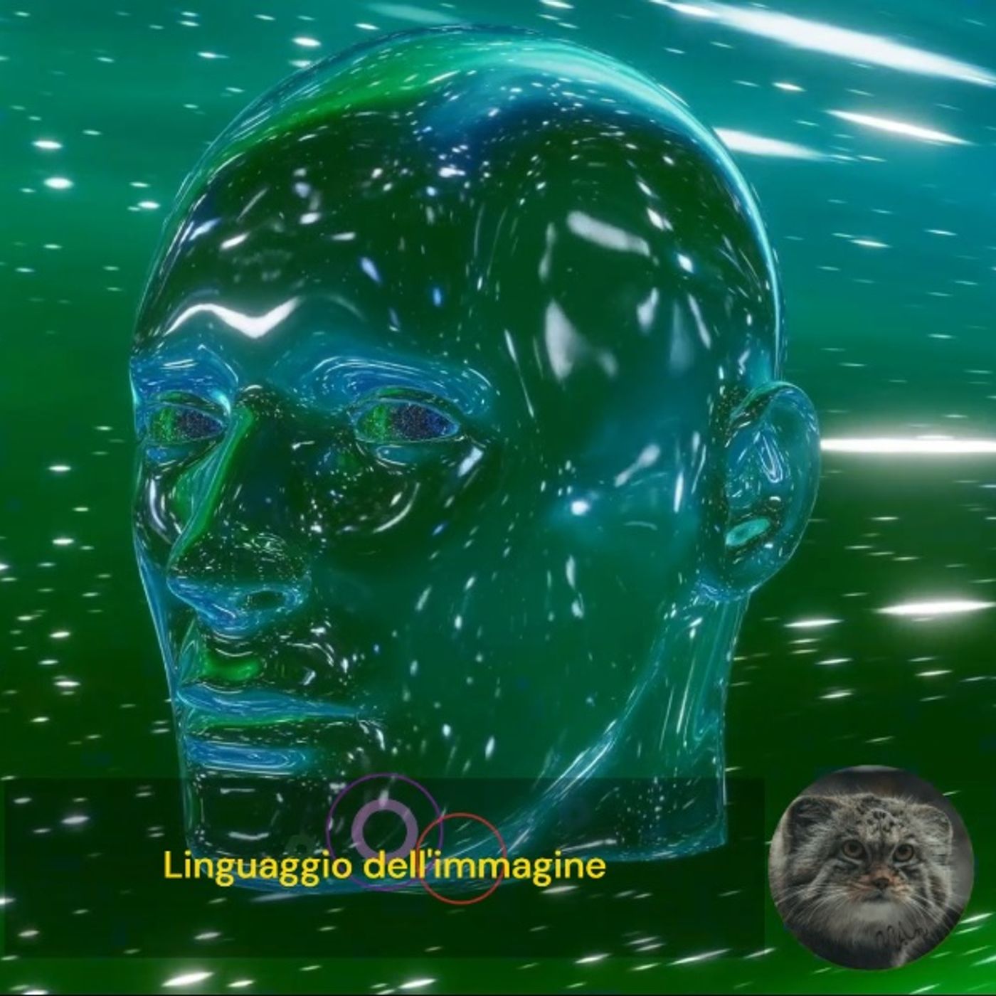 LINGUAGGIO DELL'IMMAGINE episode artwork