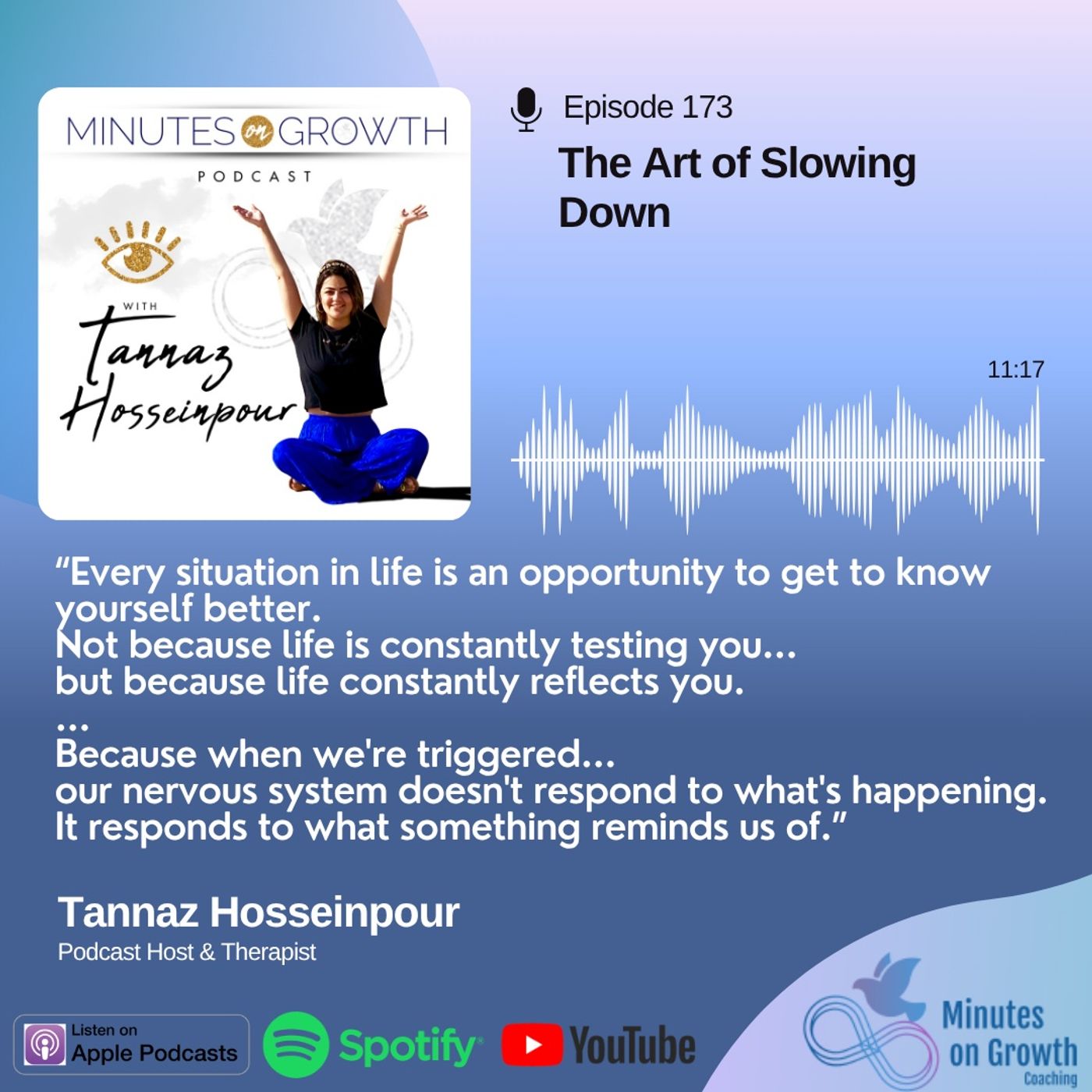 173: The Art of Slowing Down episode artwork