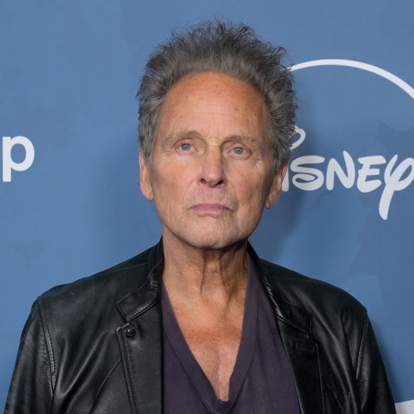 Lindsey Buckingham’s alleged stalker ruled unfit to stand trial episode artwork