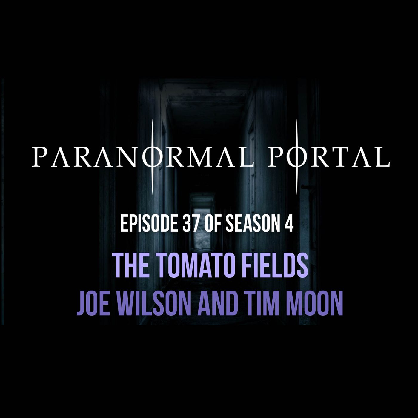 S4EP37 - The Tomato Fields - Joe Wilson and Tim Moon episode artwork