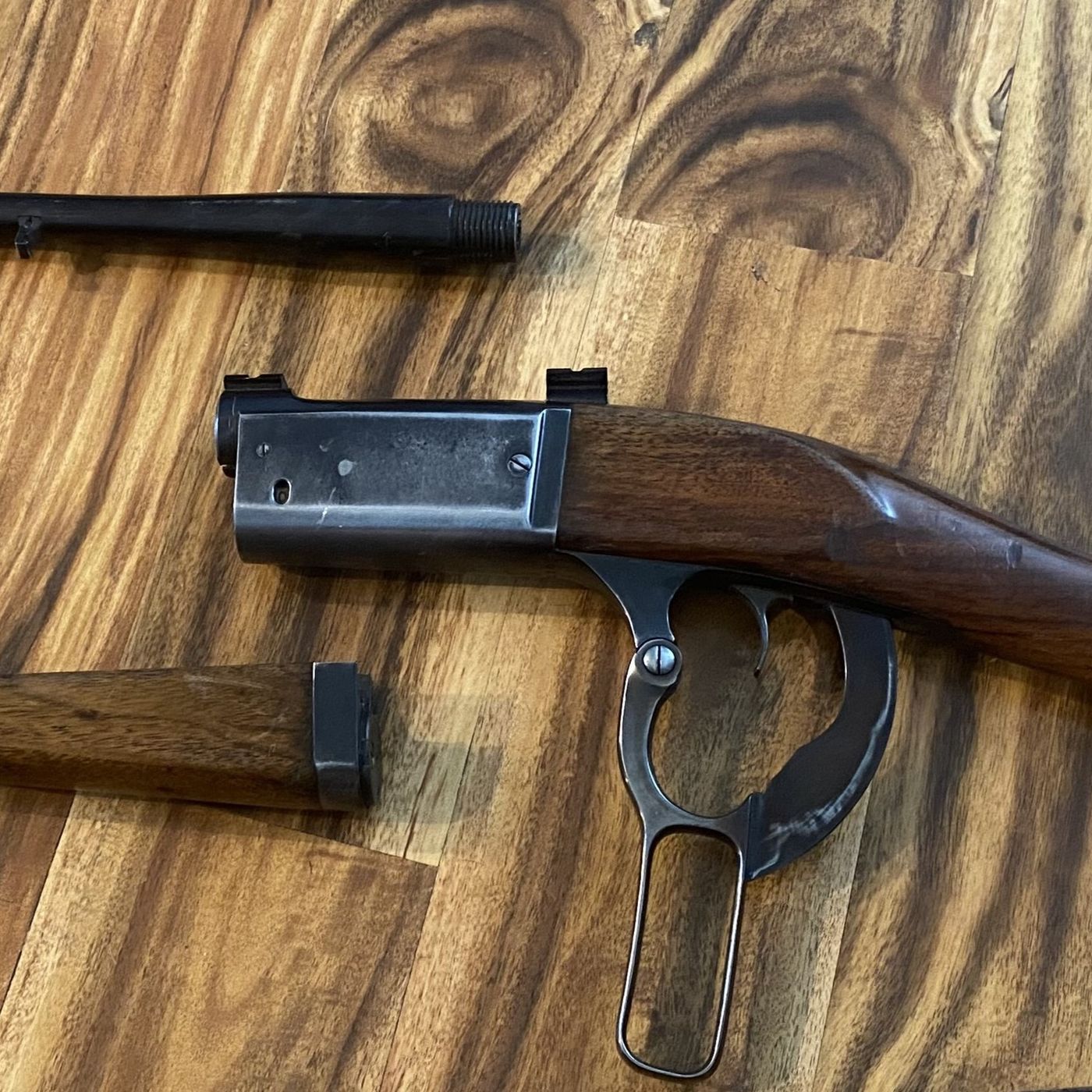 Take Down Lever Guns for Survival - Backpack Rifles - Hunting Defense