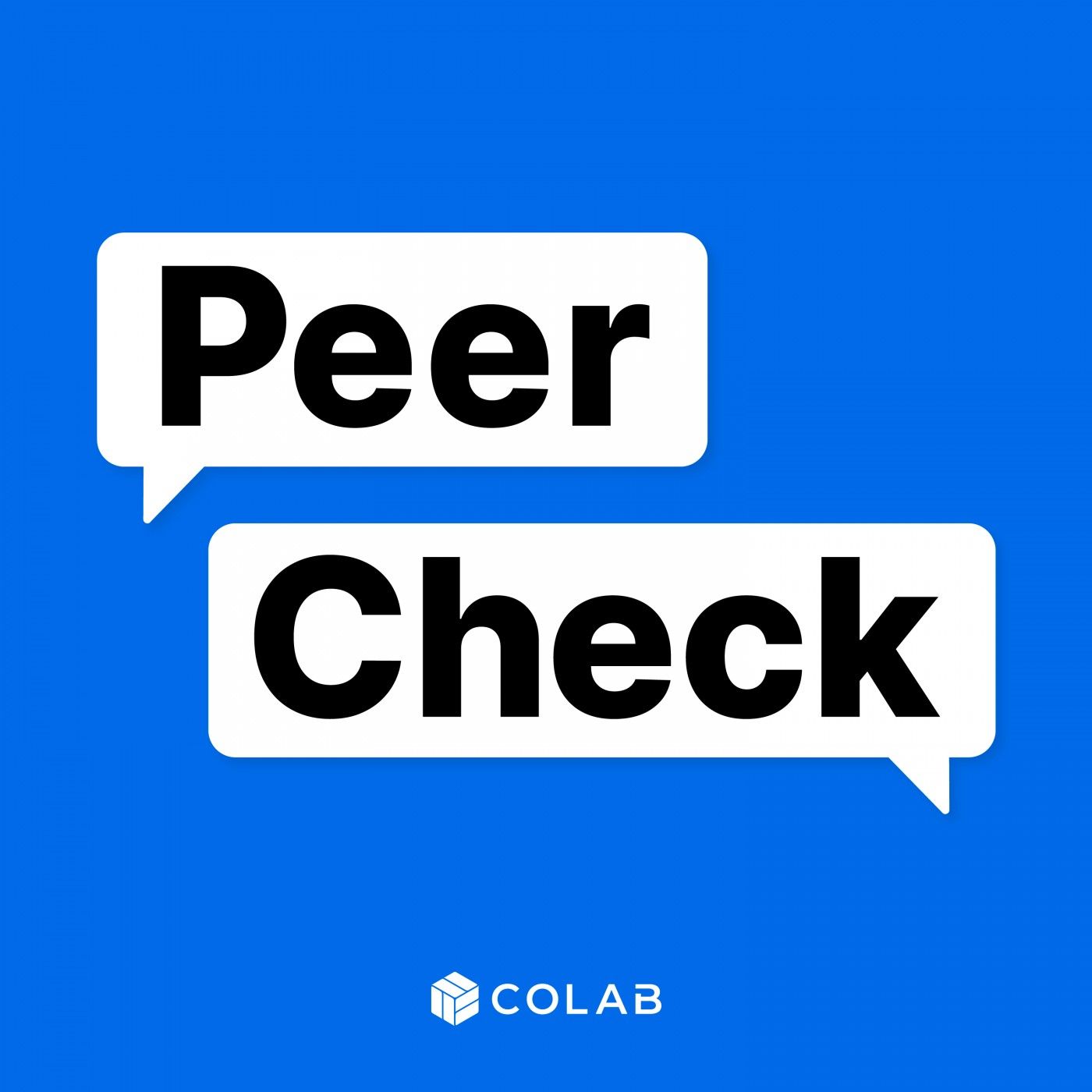 Peer Check