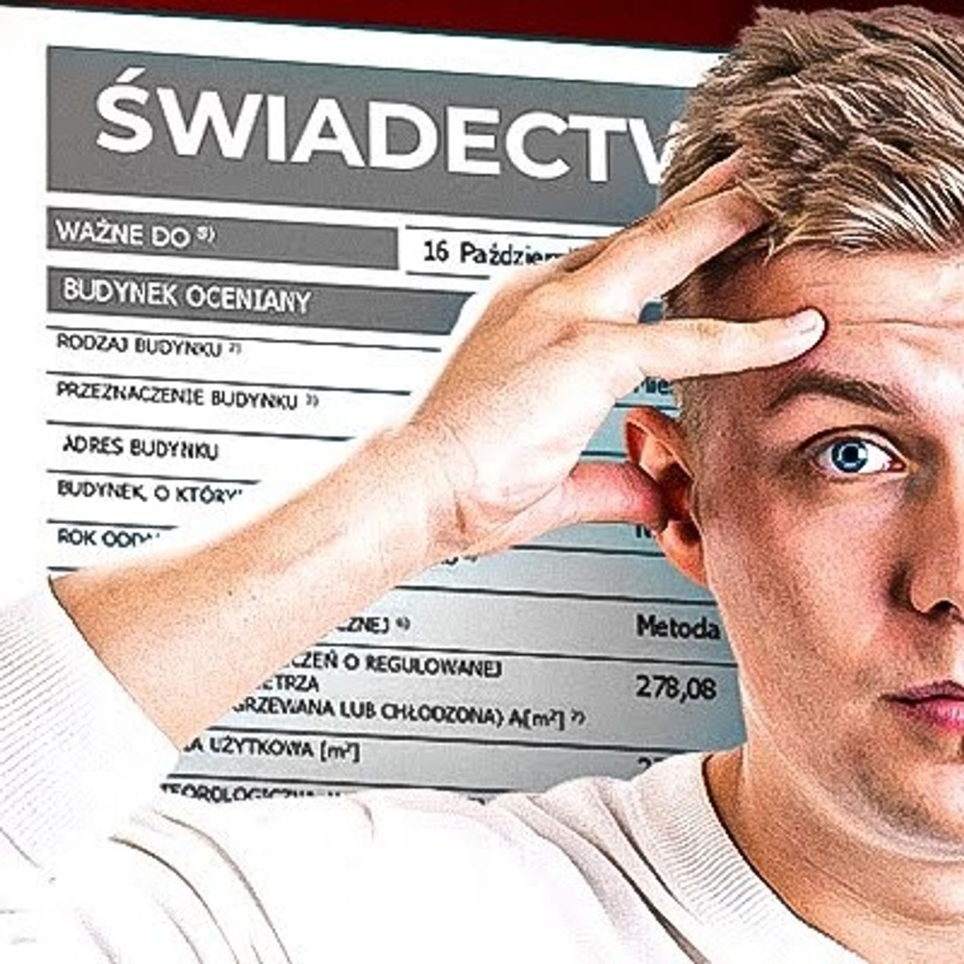 Szymon Kaczyński - Nieruchomości, Biznes