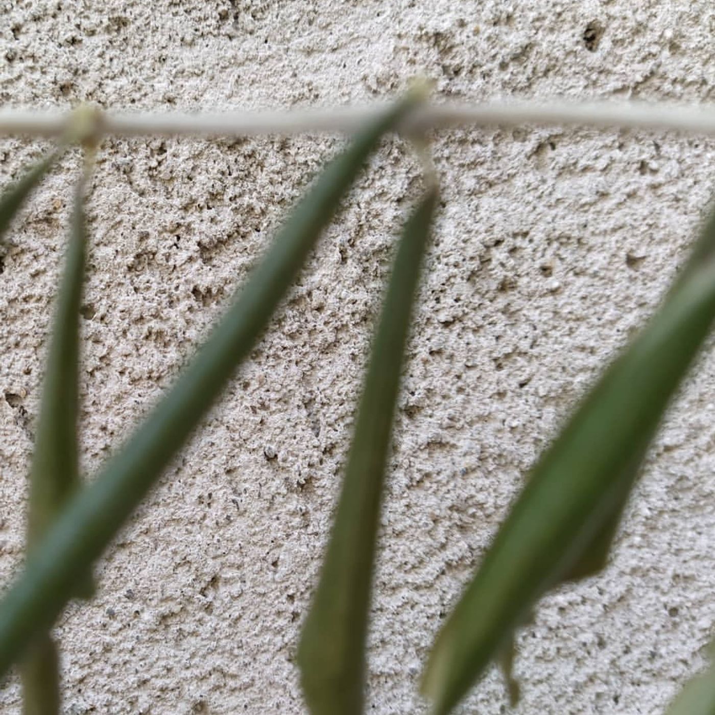 Tracce dalla quarantena