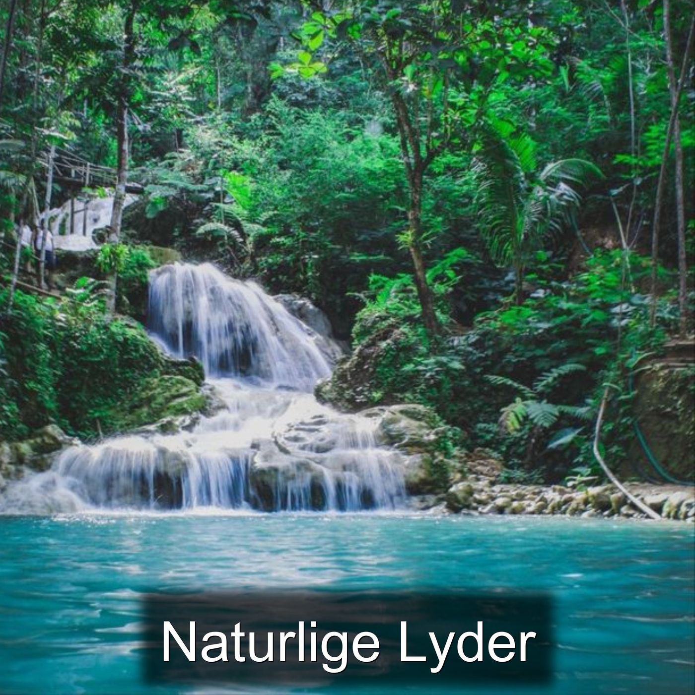 Naturlige Lyder