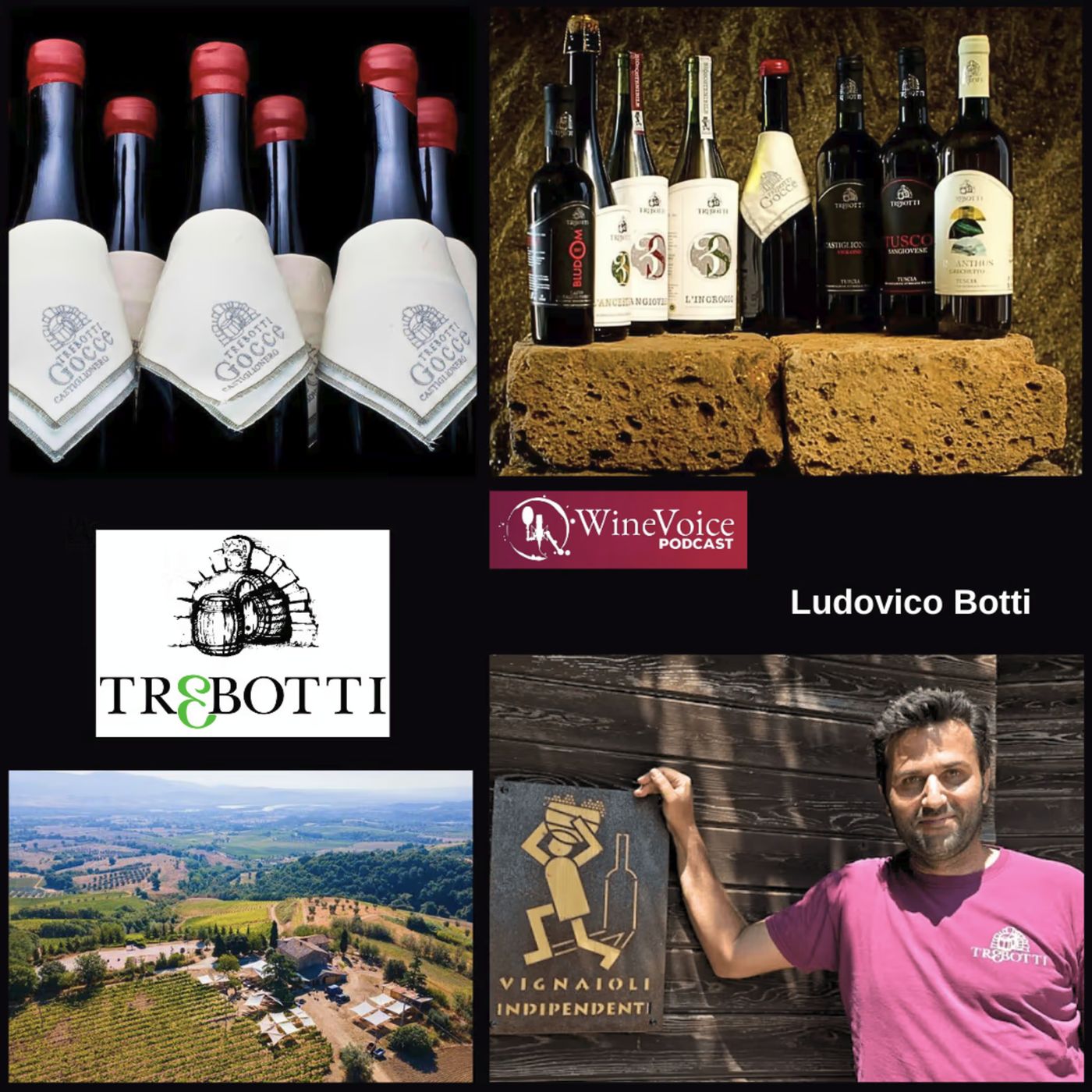 Le Terre del Vino: TRE BOTTI (Alta Tuscia) episode artwork