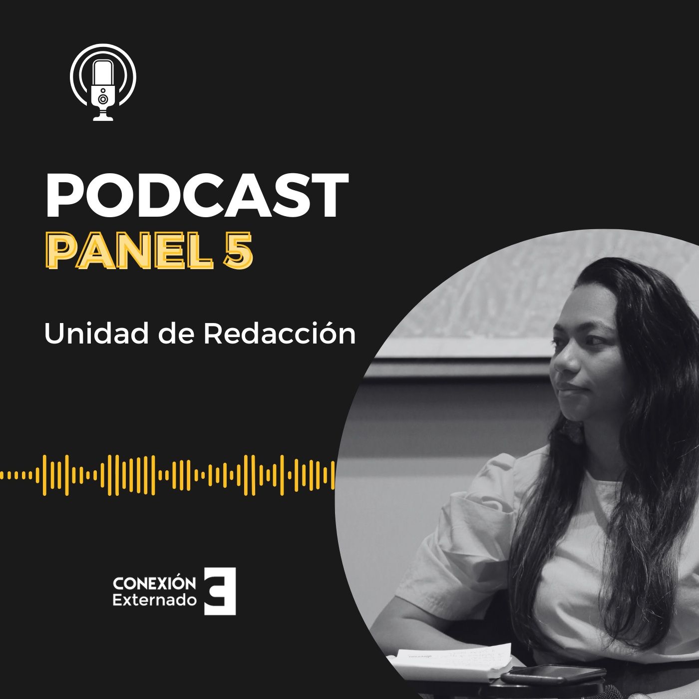 Portada de PODCAST CONEXIÓN EXTERNADO