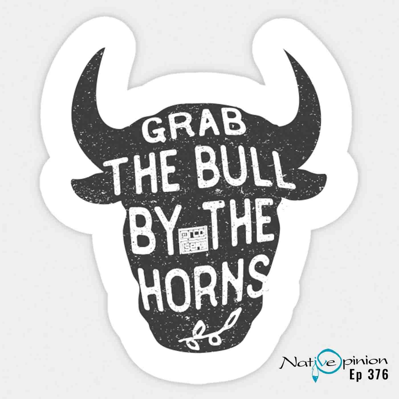 EPISODE 376  "Grabbing the Bull by the Horns." - podcast episode cover