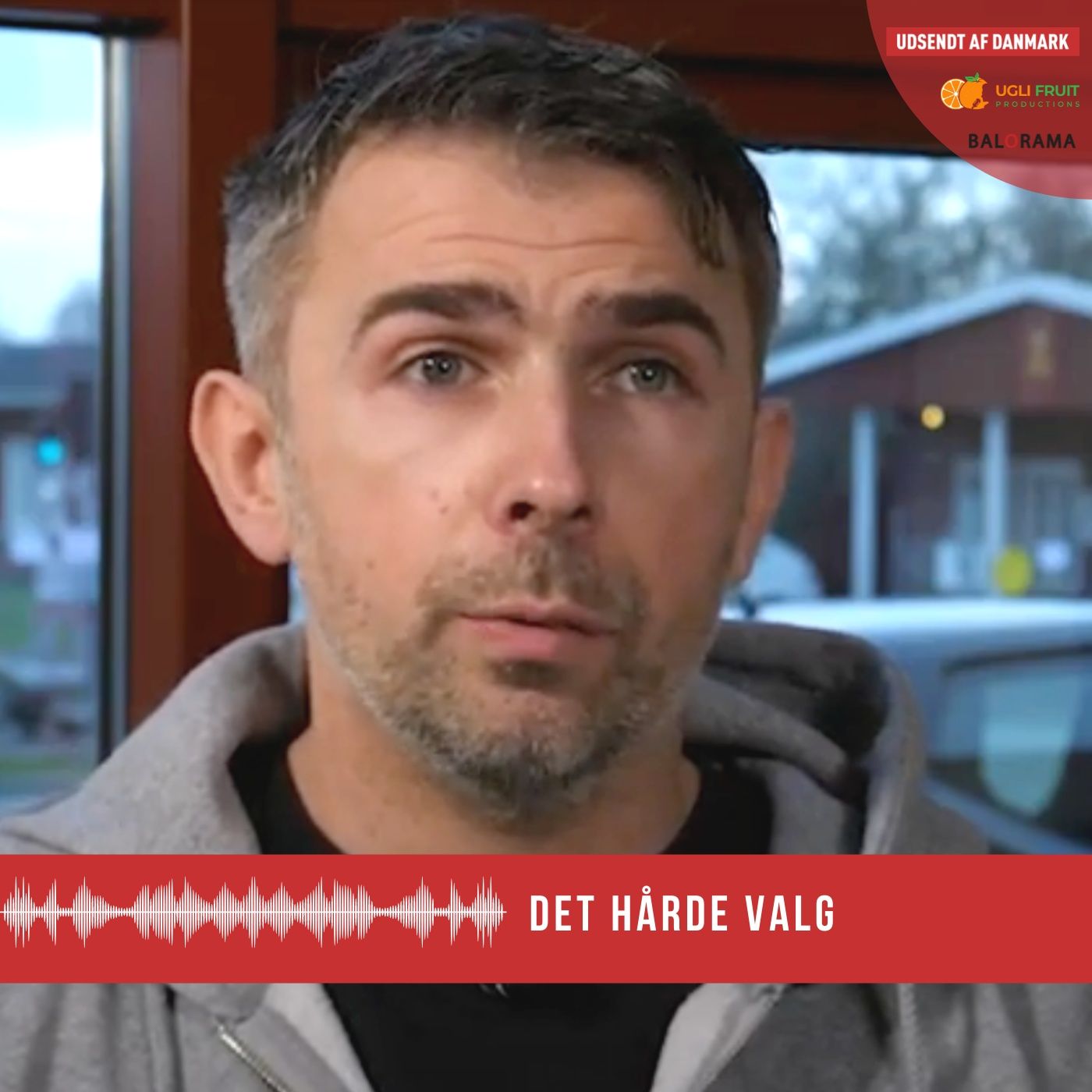 Udsendt Af Danmark