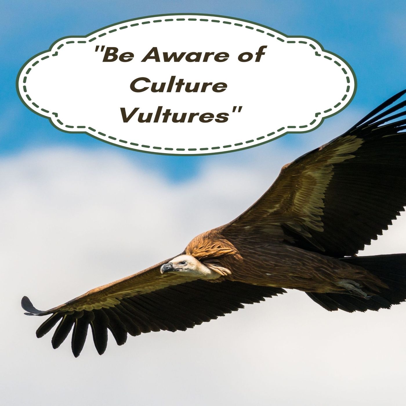 Ep. 39 - "Be Aware of Culture Vultures"