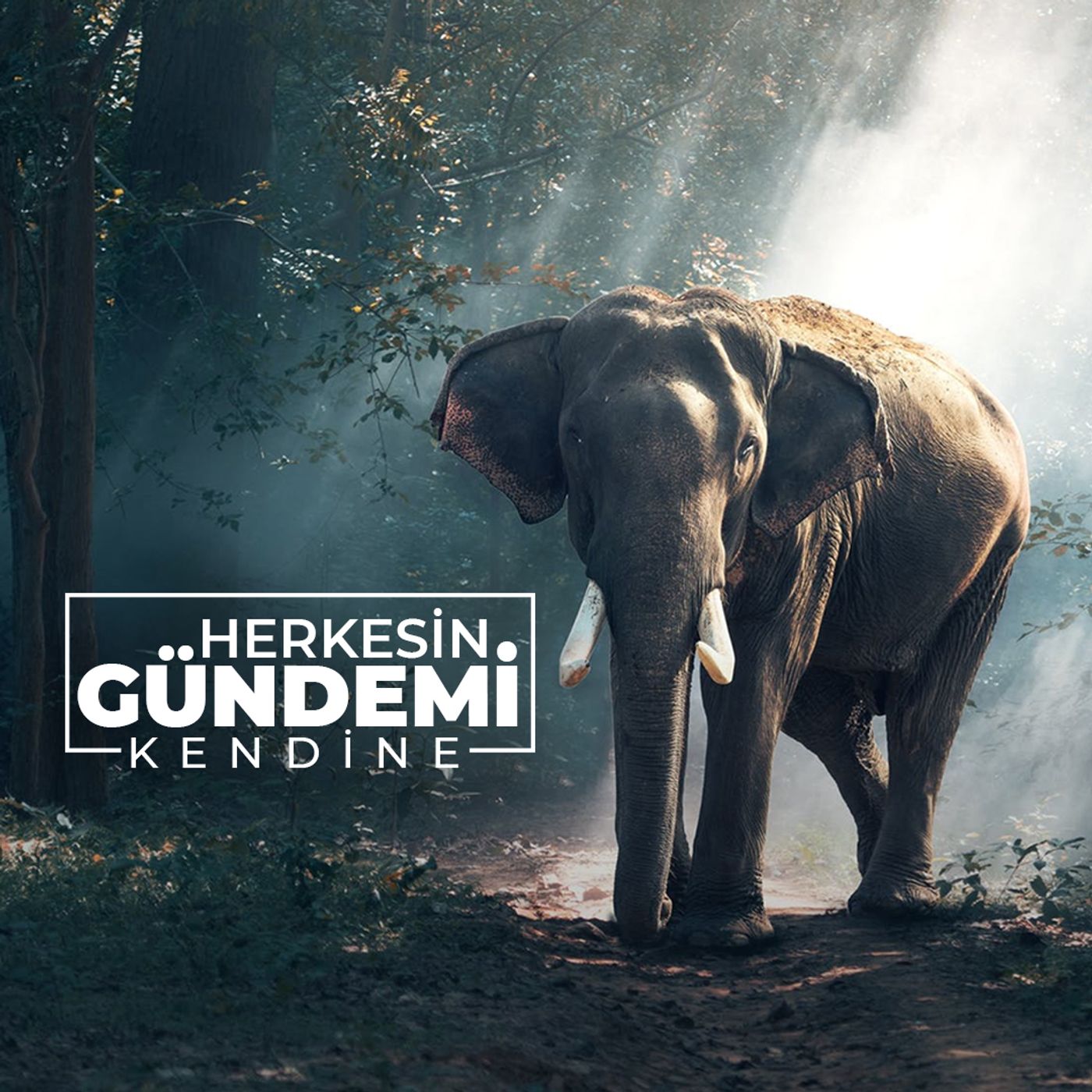Herkesin Gündemi Kendine