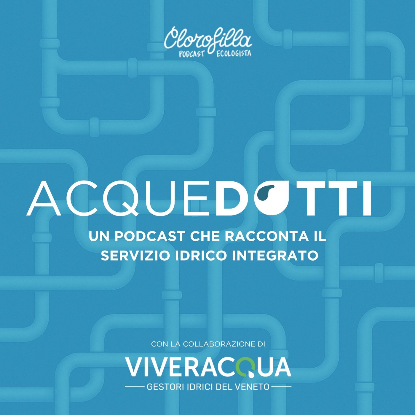 131. AcqueDotti #02 - Bollette dell’acqua: che cosa pago? - Con Viveracqua